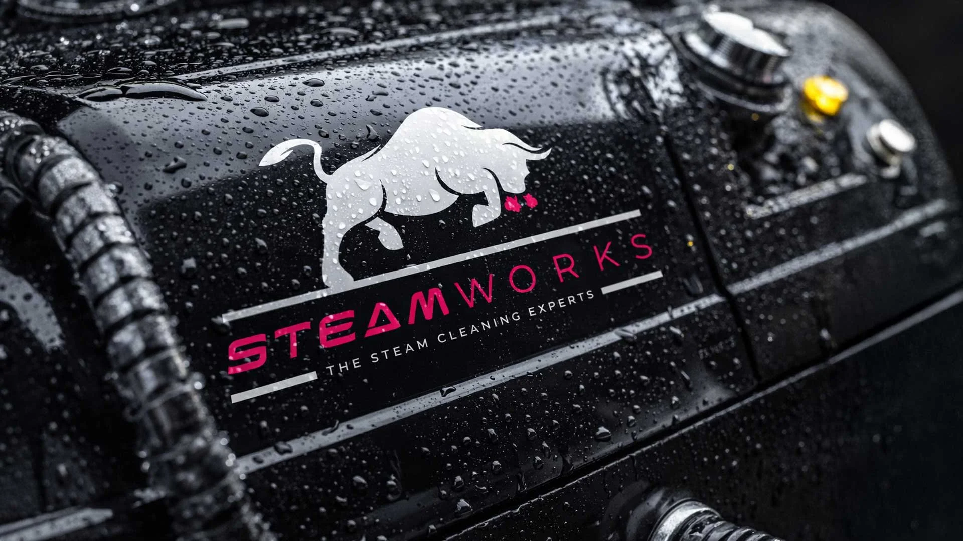 SteamWorks_Logo_white_mockup.jpg
