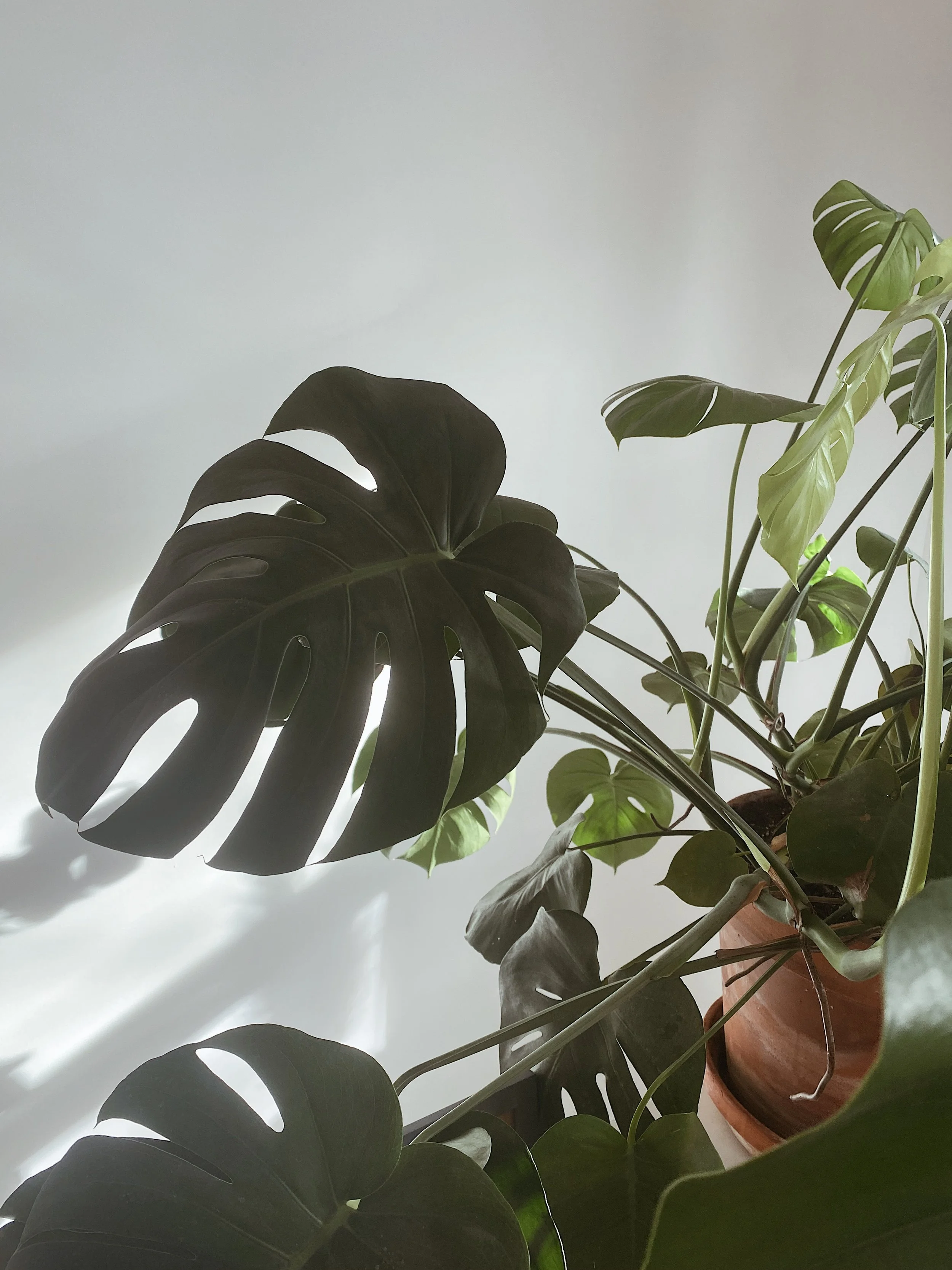 ONE A DAY IN FEBRUARY // sustainable, ethically made, handmade bag from thrifted textiles in northern michigan; suttons bay, michigan