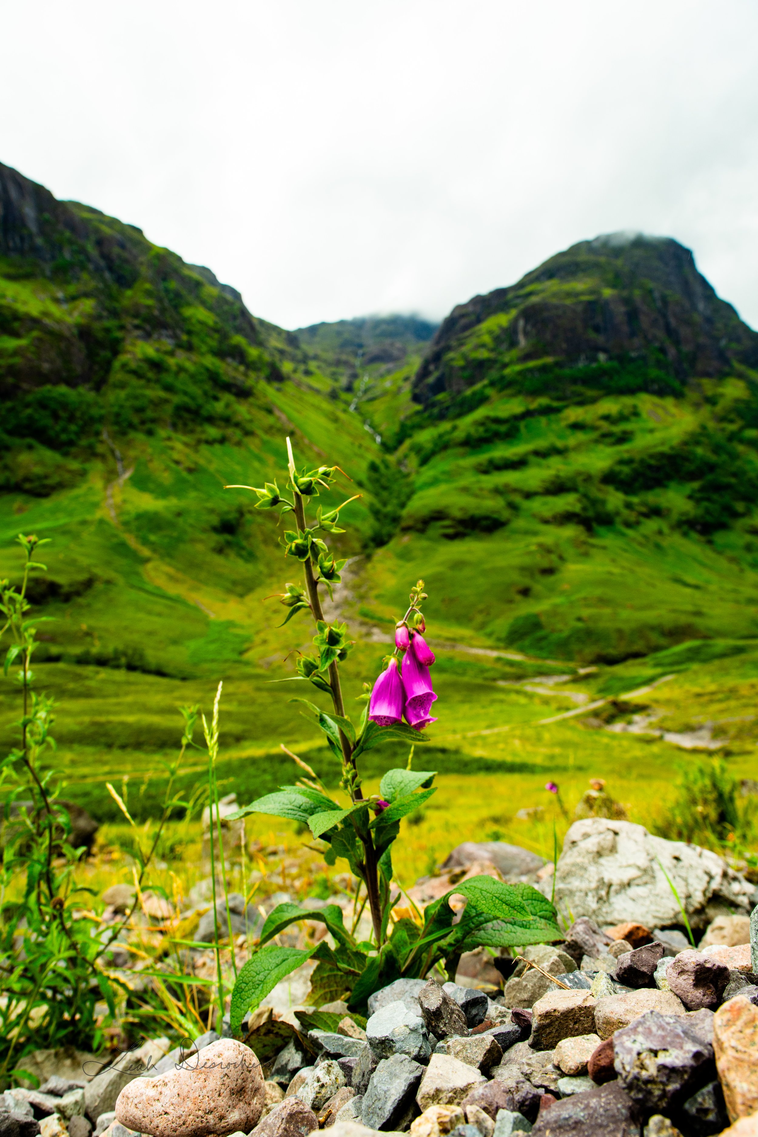 Scotland.01