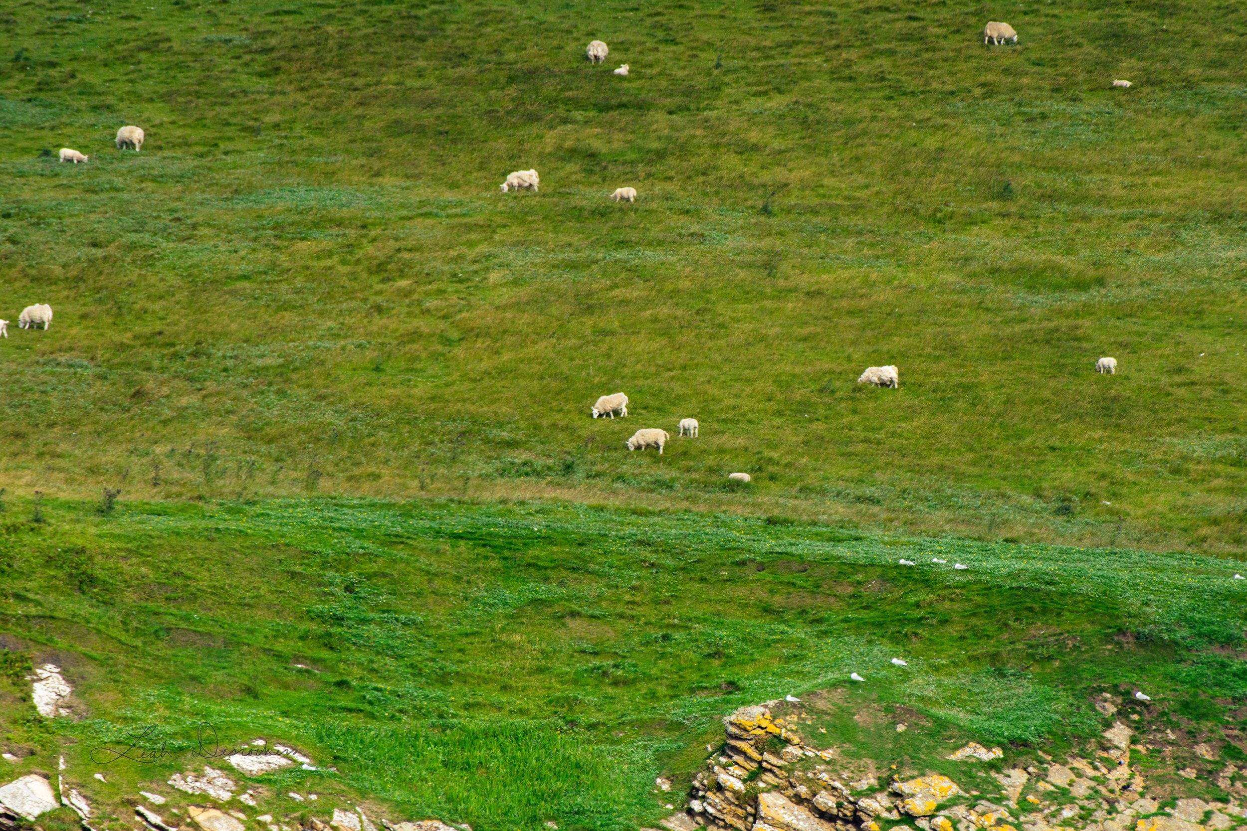 Scotland.12
