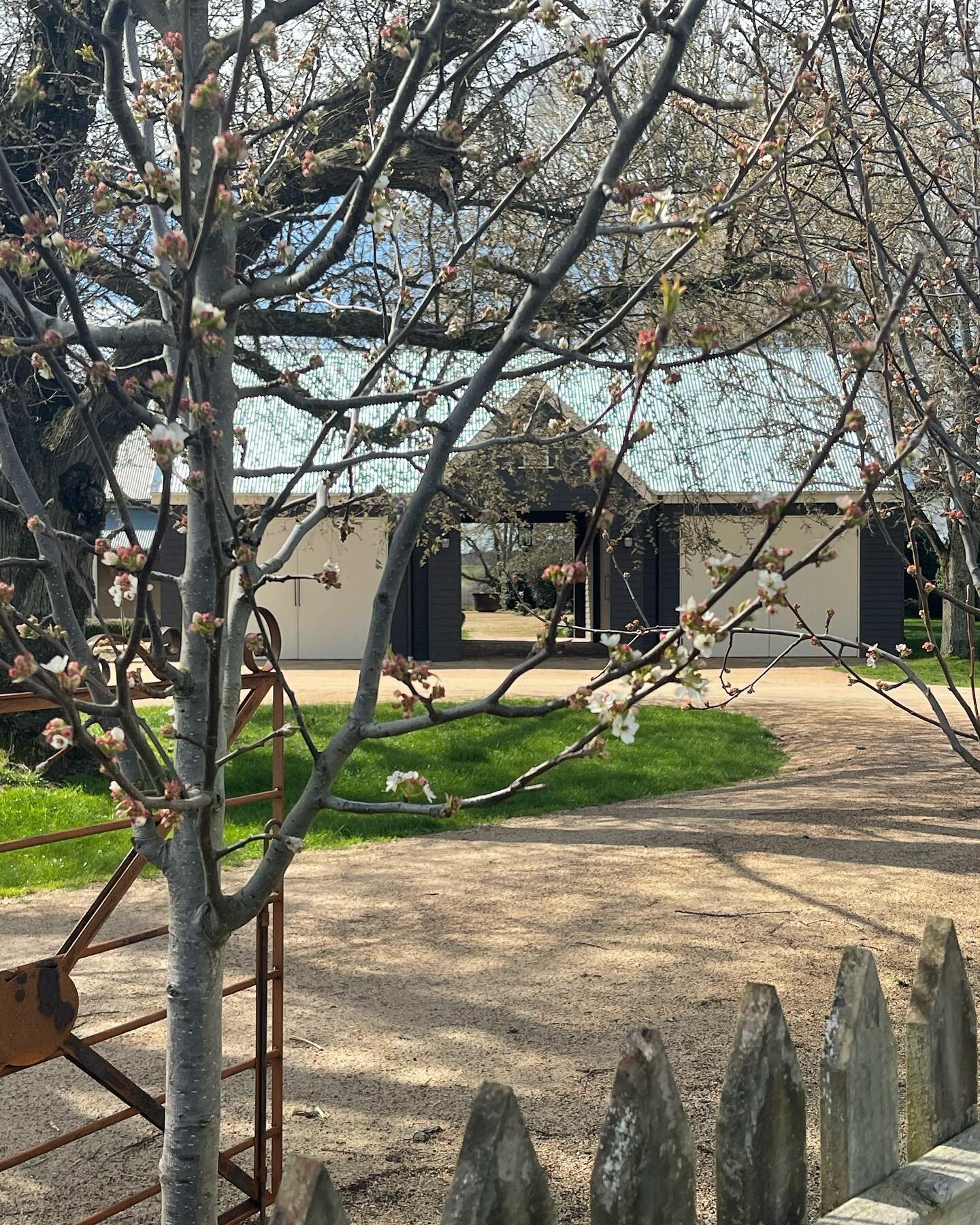Such a glorious afternoon here at Ceres Homestead&hellip; ignoring the chilly wind, the sunshine gave a hint that it could be Spring!?? xxx