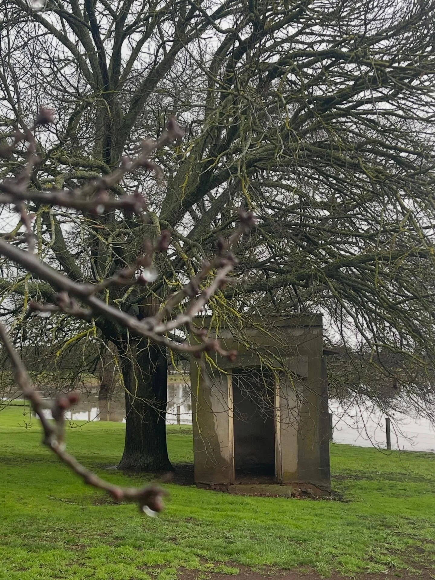 What a weather event !  Today water has subsided and it is hard to believe that this actually occurred!!!! 

I do hope everyone is safe and sound &mdash; and that soon things can return to some normality.  Sending love. Xxx

Thank you for the many me