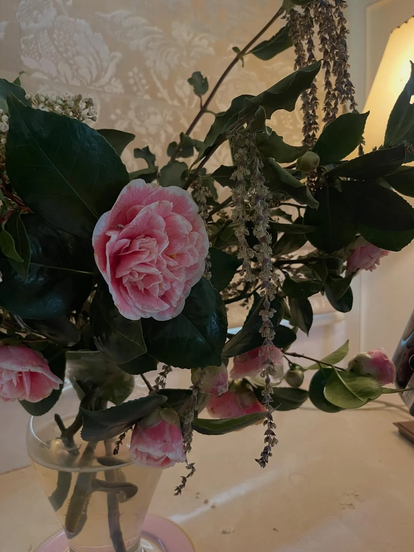 The colours of a Winter garden&hellip; xxx

Enjoy the gentleness - and enjoy your Sunday evening. xxx
