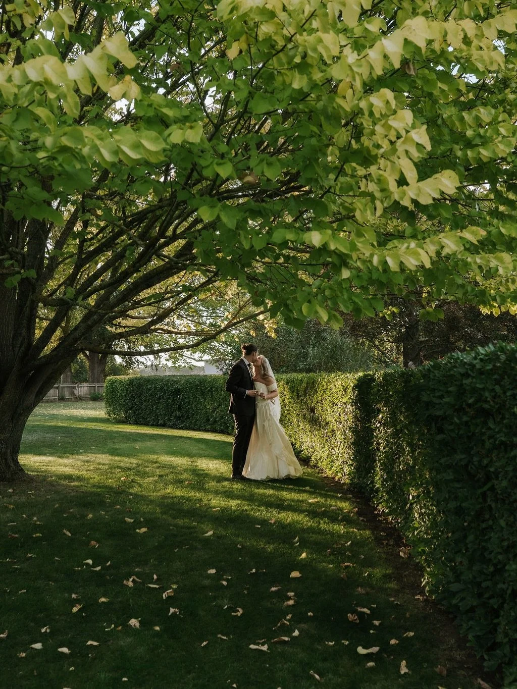 So many beautiful memories made at Ceres Homestead. Dreams really do come true.

Imagine exchanging lifelong vows at golden hour, sun streaming in on all the right moments, surrounded by those nearest and dearest to witness your lifelong commitment.
