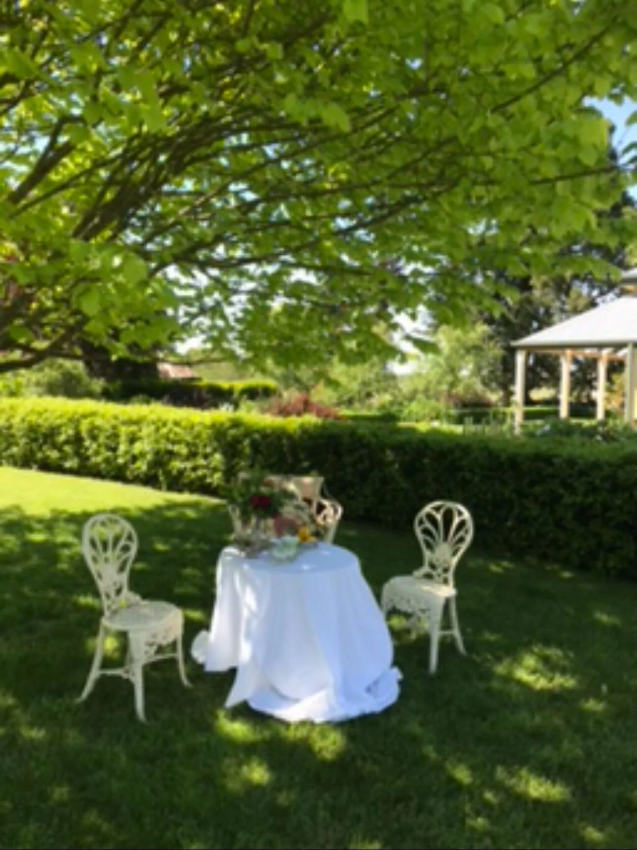 A darling little spot fur a cup of Ceres Homestead French Earl Grey Tea.  In the Spring garden - the garden is beginning to bloom - the birds are singing bright song and the combined fragrances smell hope . 

Sending love this Spring. 💛💛💛