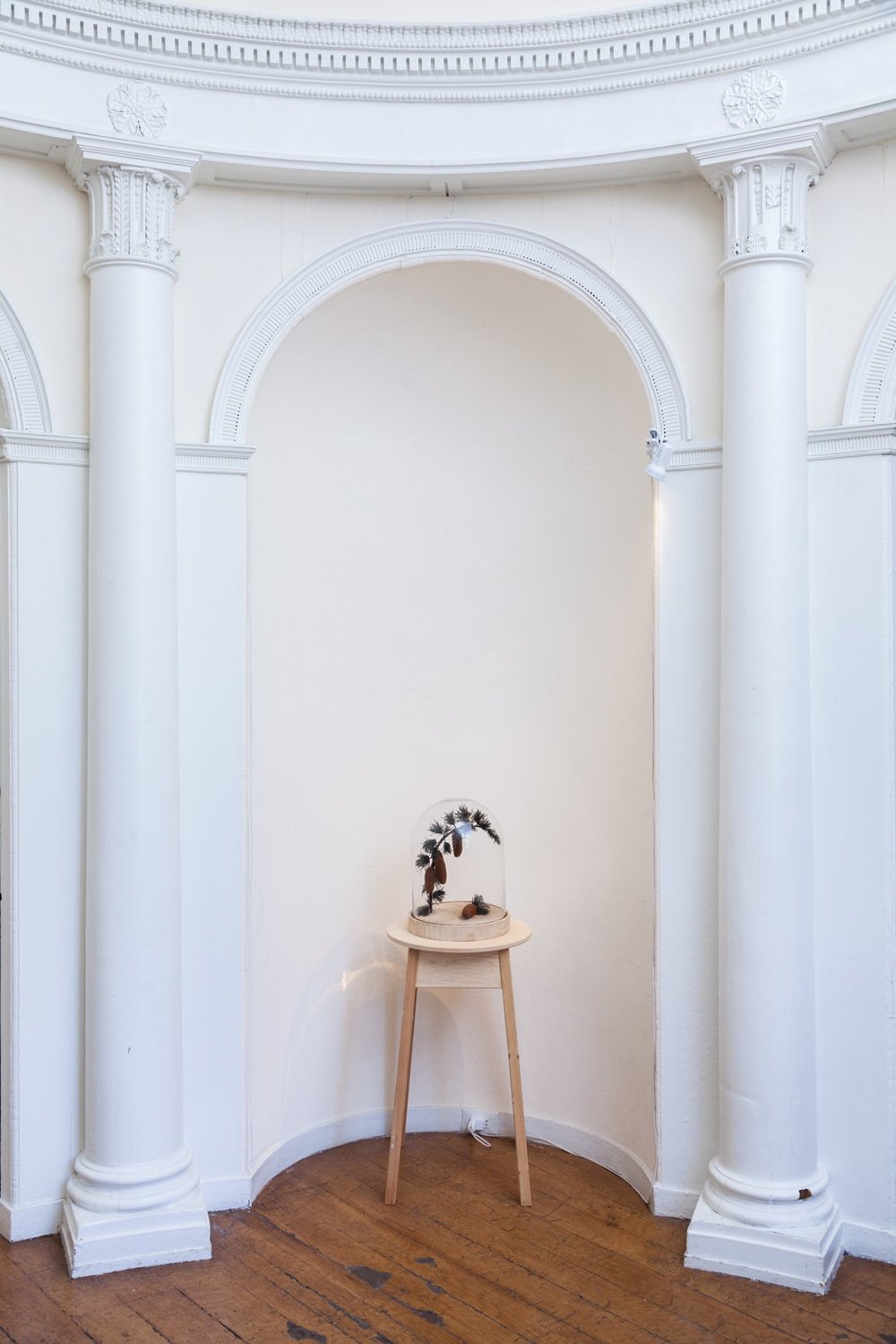 Glass dome with Victorian handcrafts installed at The Woodlands