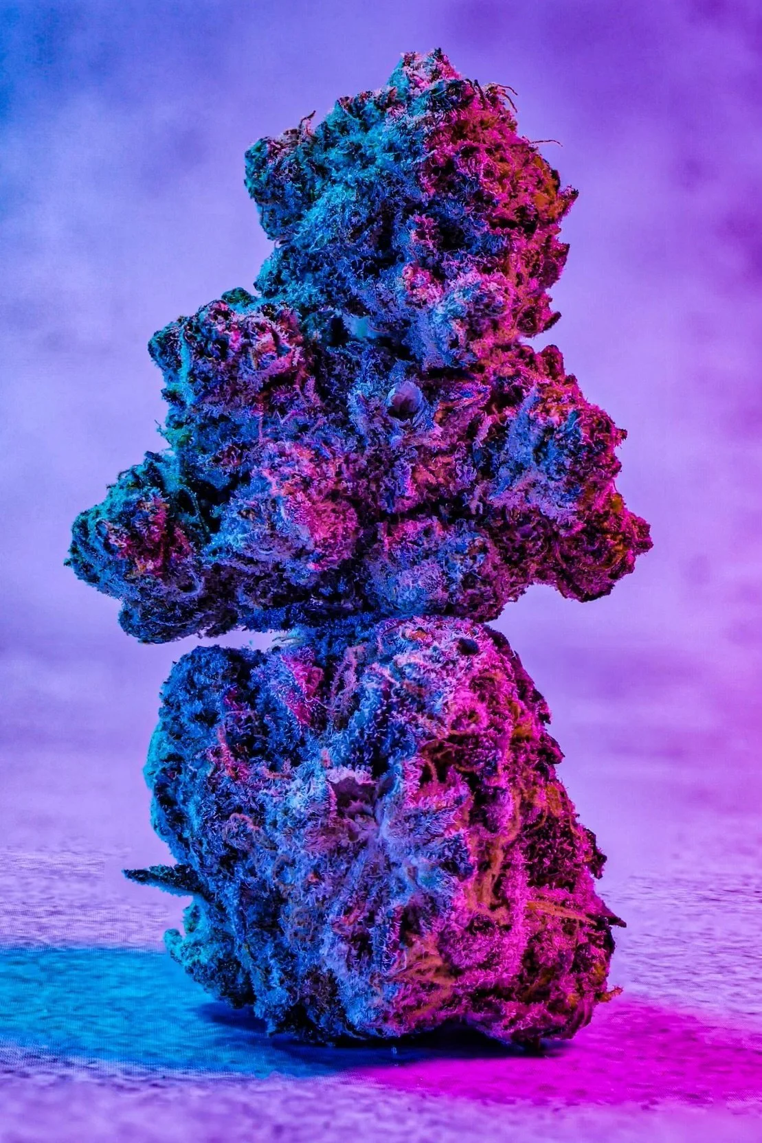 B-13%252C%2520MD%2520GX85%2520_04-21-23%2520_0003.jpg