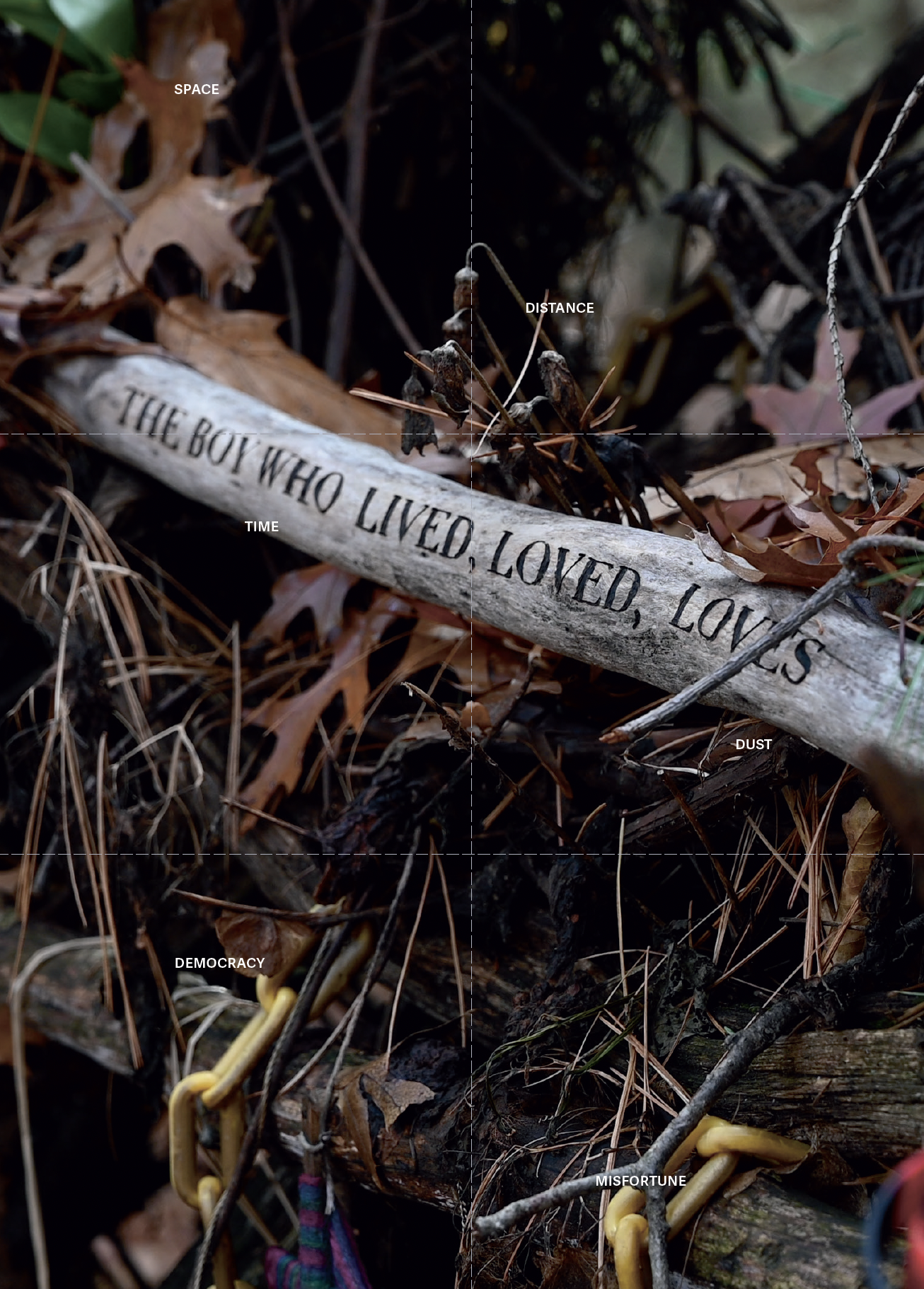 Screenshot 2026-02-23 at 10.03.30 AM.png