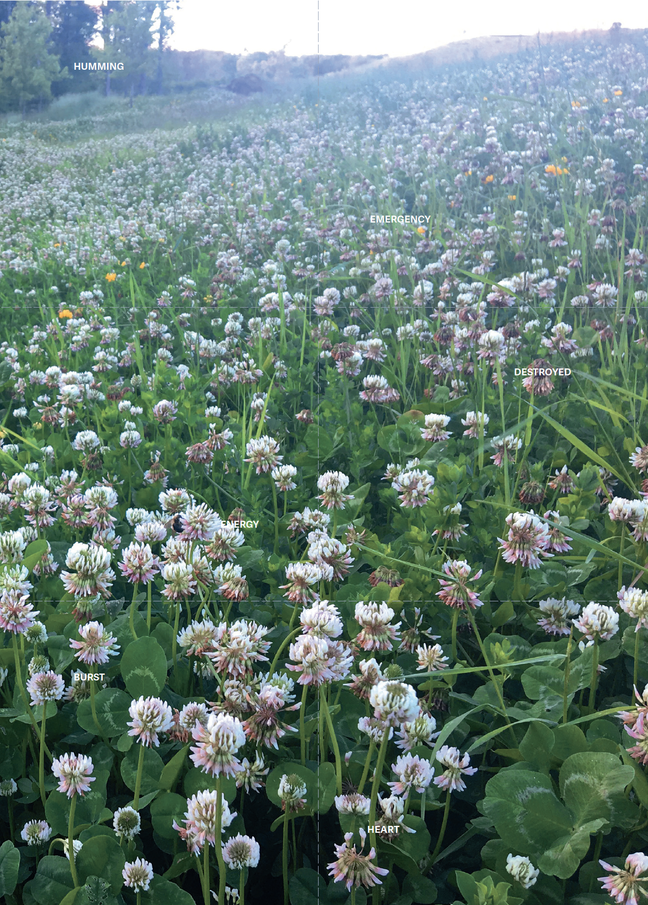 Screenshot 2026-02-23 at 10.04.41 AM.png