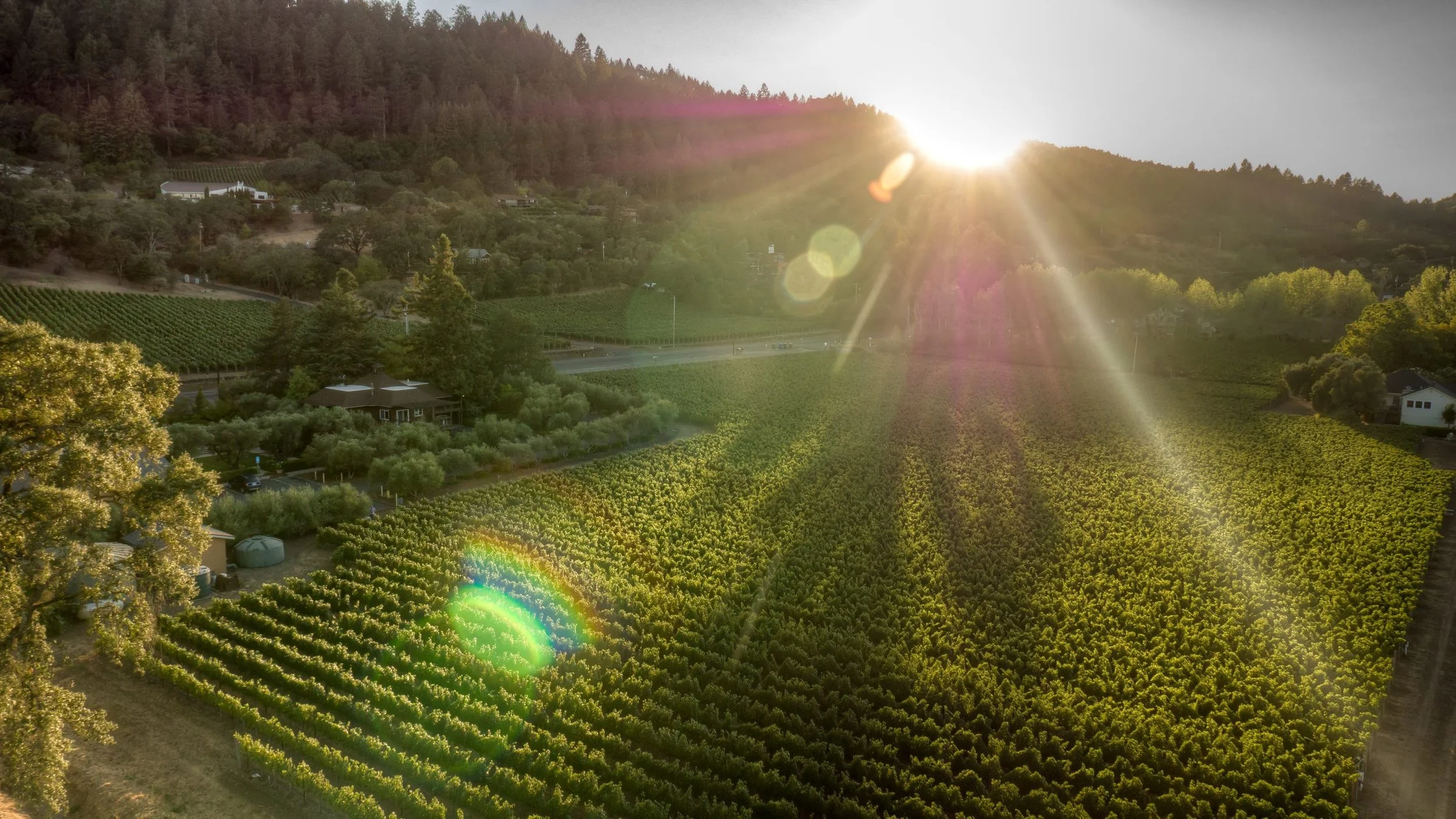 Revana Vineyards Dinner