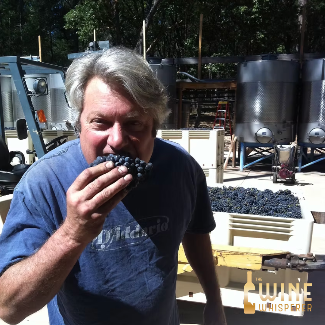 Producer Tasting: Robert Foley Vineyards