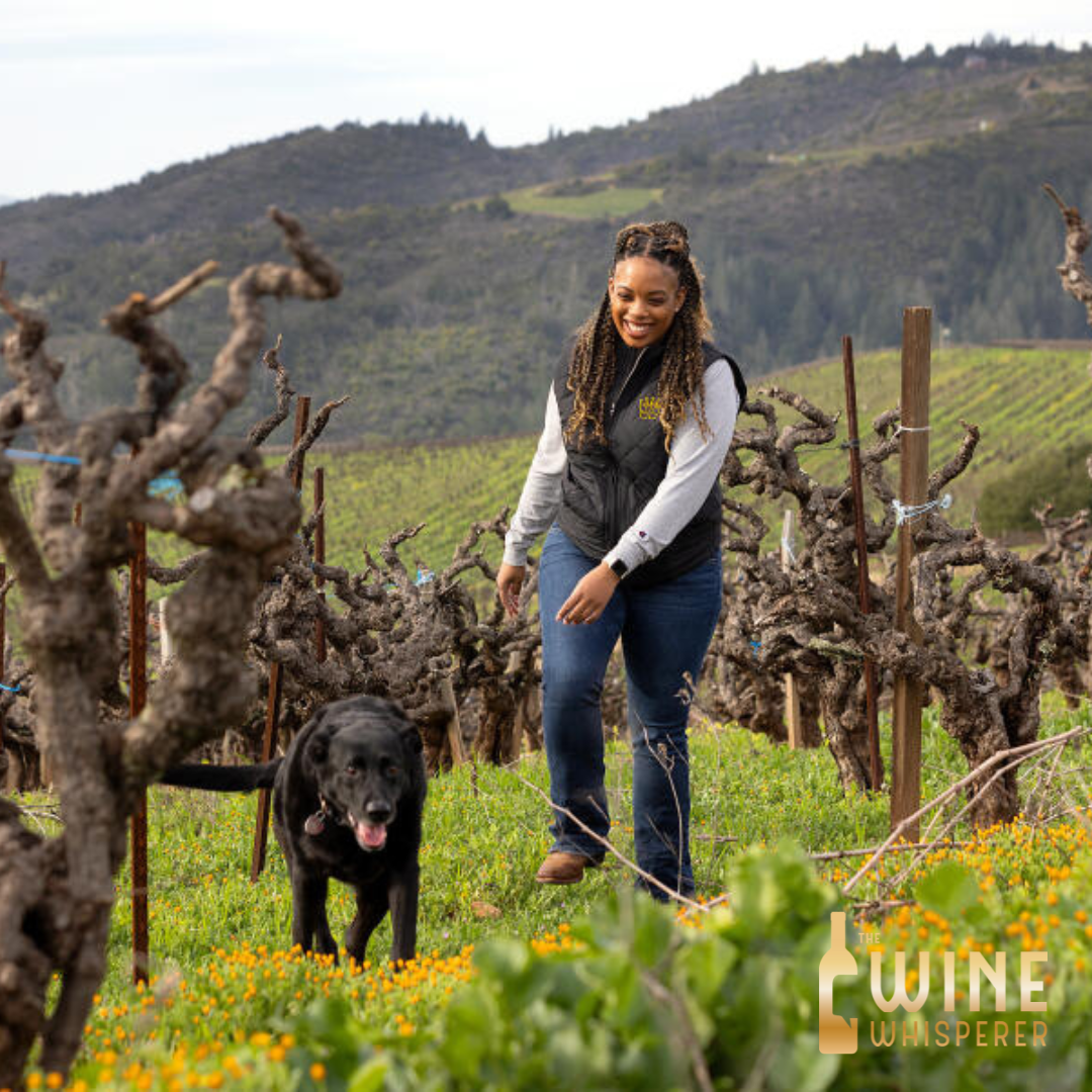 Wine Class: Women in Wine