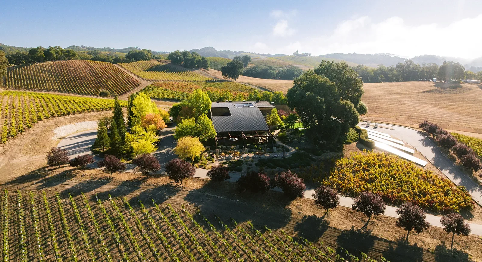 Producer Tasting: Denner Vineyards