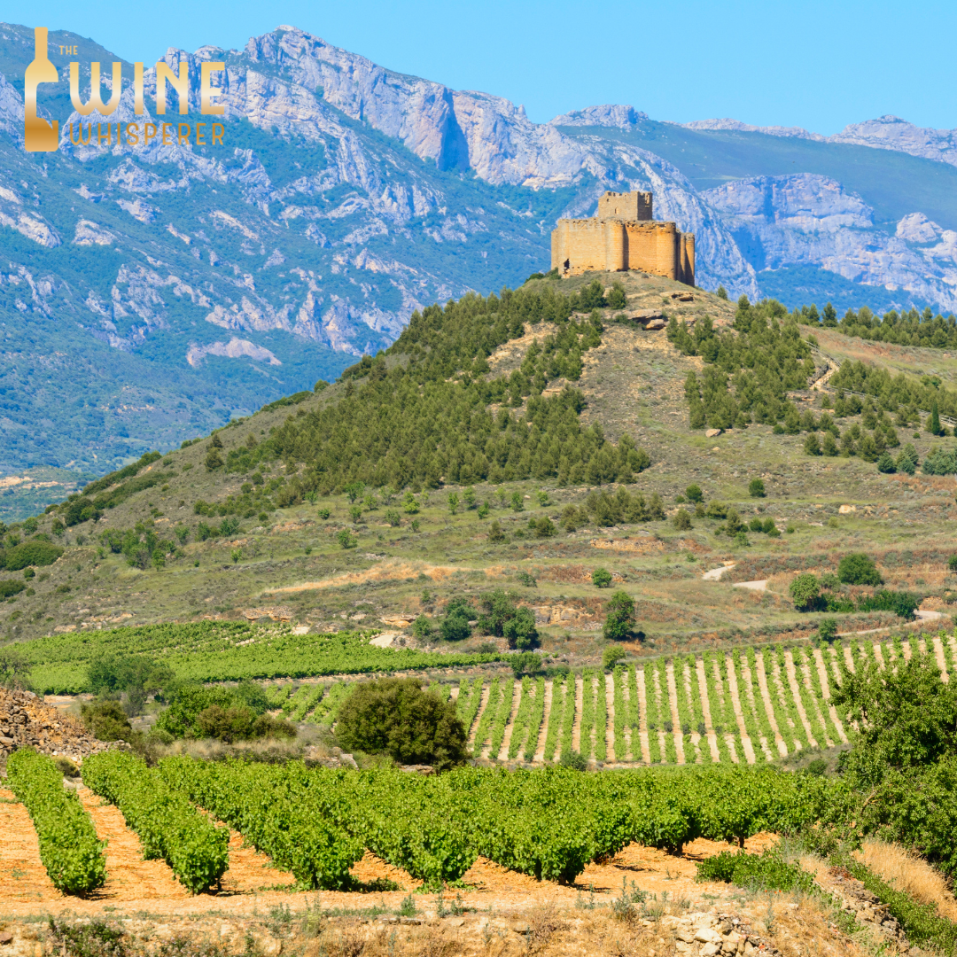 Wine Class: La Exploración de la Rioja