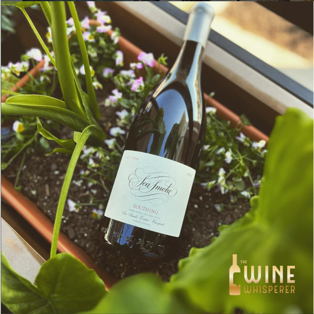 Winesday - Producer Tasting