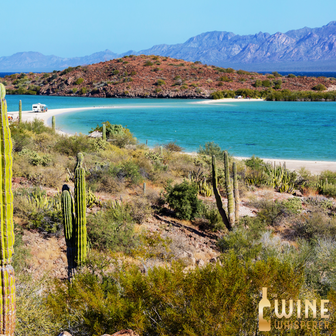 Wine Class: Meet Me in Mexico