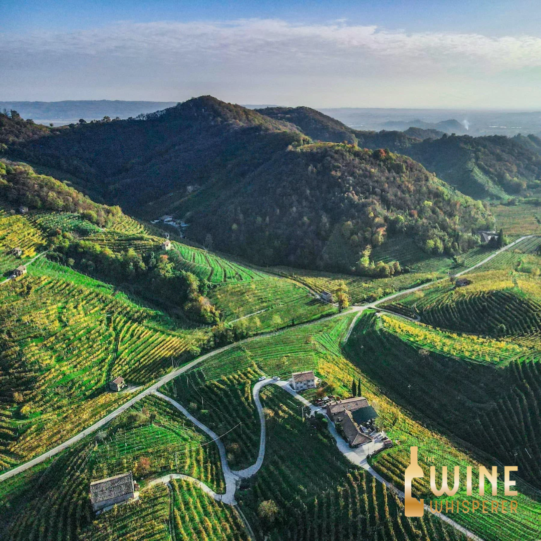 Wine Class: Prosecco &amp; Veneto
