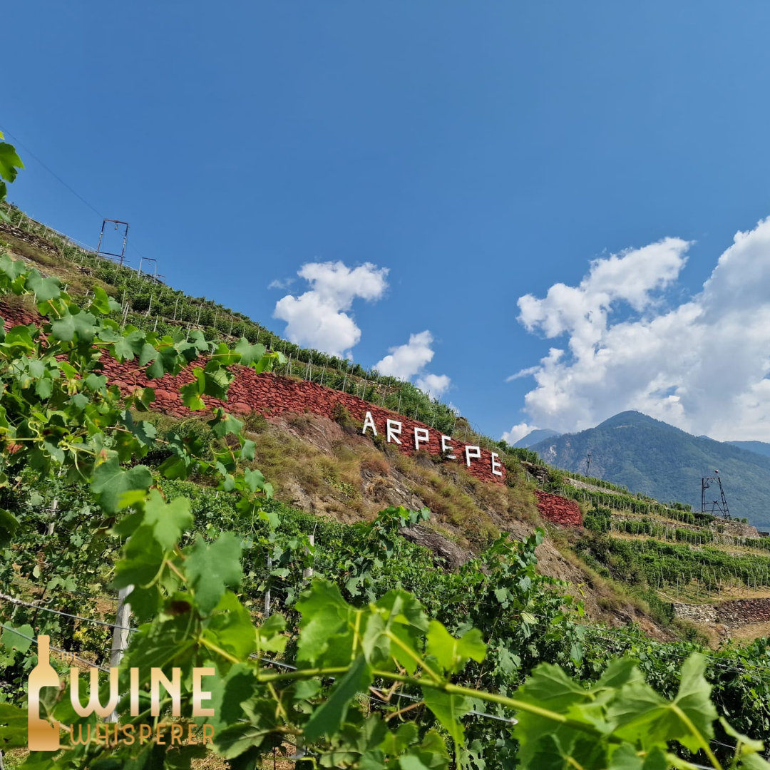 Wine Dinner: ArPePe