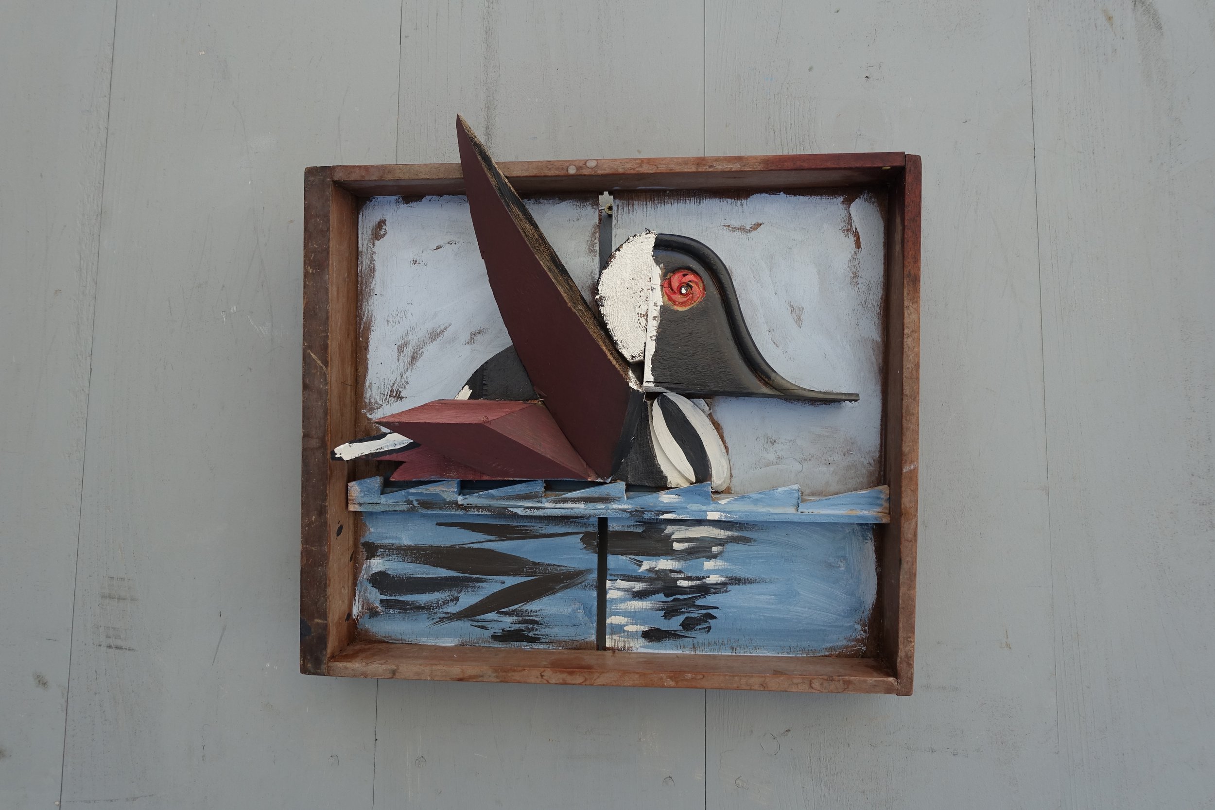 Buffle head ,sails raised on a down wind run