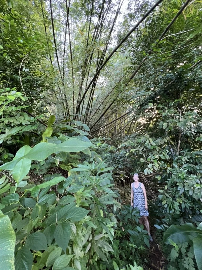 Liz deep in the jungle.