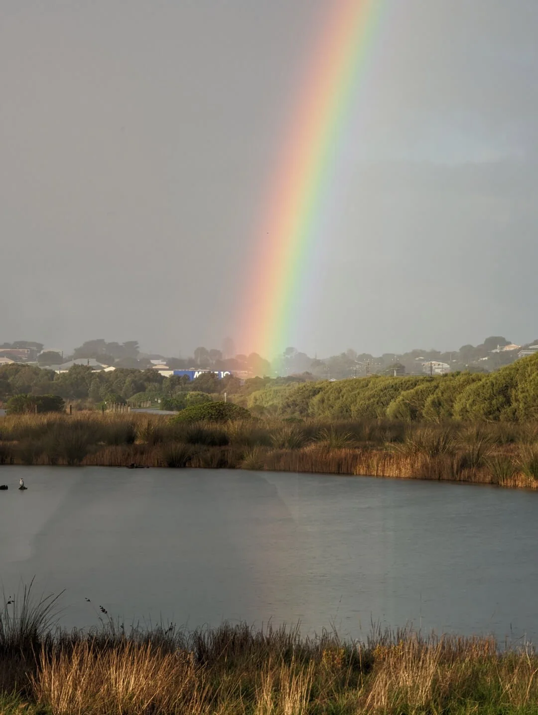 Rainbow.jpg