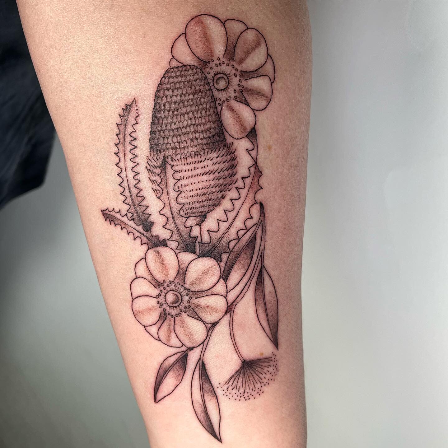 banksia, eucalyptus, and anemones for @gardengirlflowerseugene 🌸🌸🌸🌸🌸🌸 thanks for coming in! 
.
.
.
.
.
.
.
#eugenetattoo #eugeneoregon #eugene #oregon #oregontattoo #pnw #pnwtattoo #banksia #eucalyptus #australianflora #floraltattoo #botanicalt