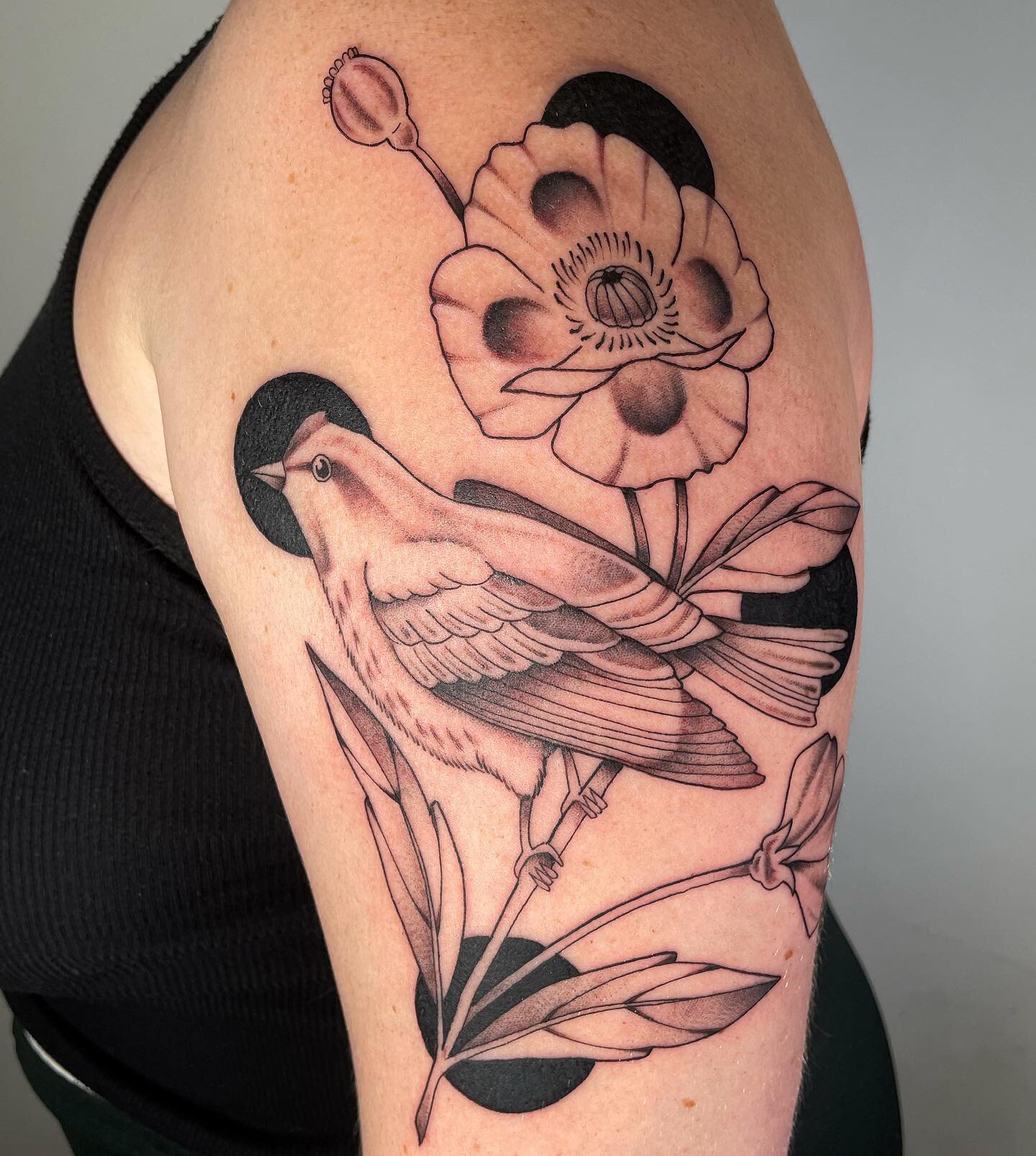 Went big on this flash piece for Katie 🤩 thanks again! 
.
.
.
.
.
.
.
.
#eugenetattoo #eugeneoregon #eugene #oregon #oregontattoo #pnw #pnwtattoo #birdtattoo #illustrativetattoo