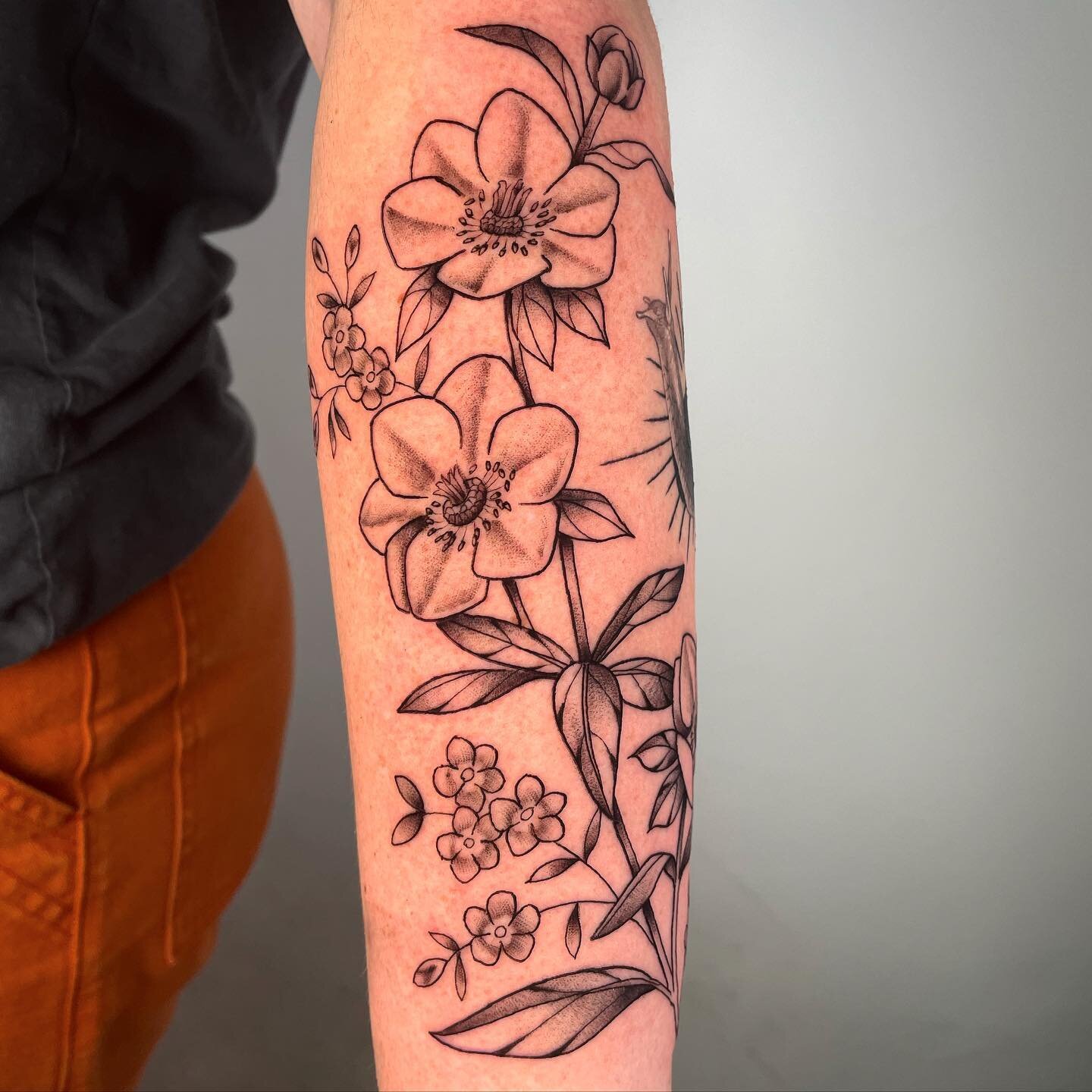 Hellebore and phlox for Taylor 🌸 tucked up to a super nice one by @jsteeletattoos. Thanks so much! 
.
.
.
.
.
.
.
.
#eugenetattoo #eugeneoregon #eugene #oregon #oregontattoo #pnw #pnwtattoo #floraltattoo #botanicaltattoo #illustrativetattoo