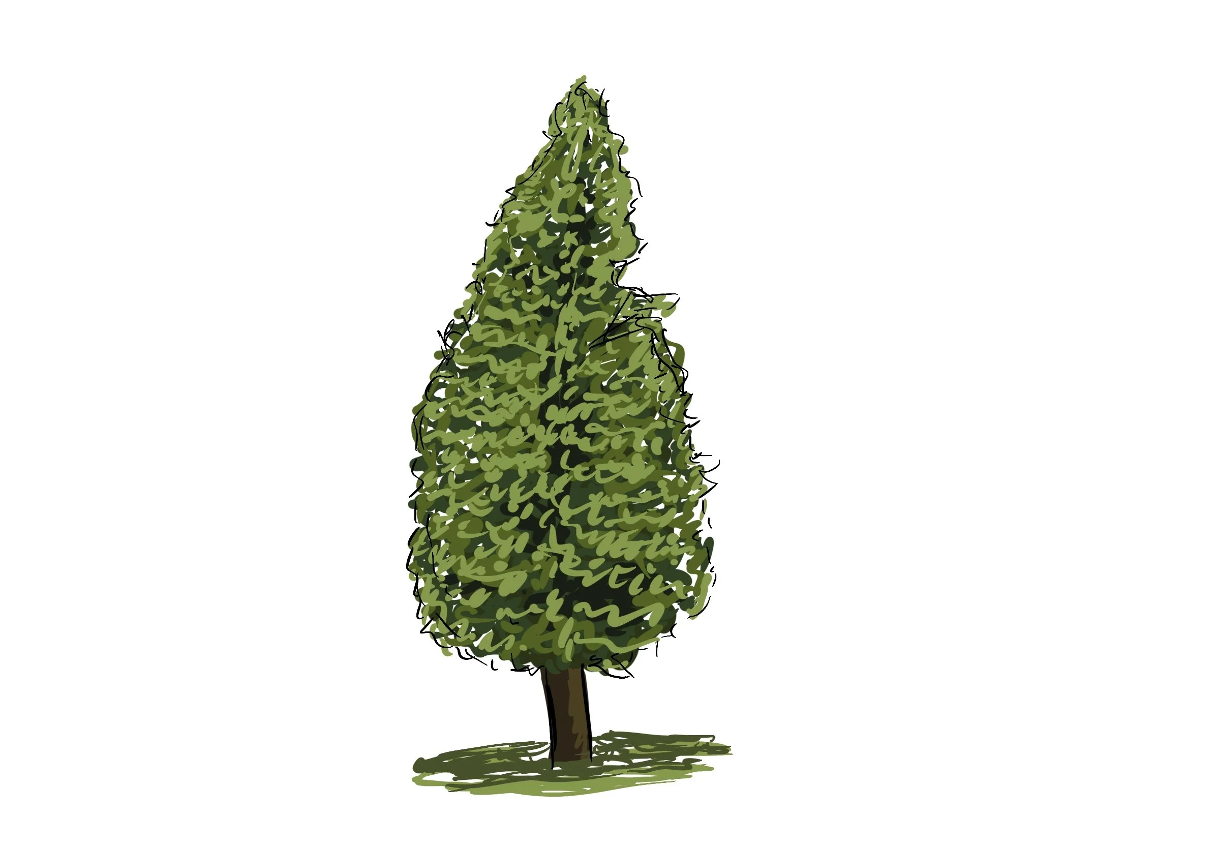 19_Pine_Pet.jpg