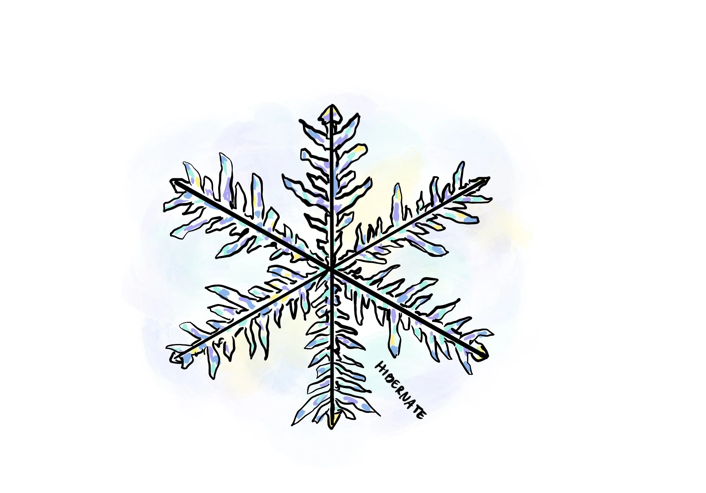 2_Snowflake.jpg