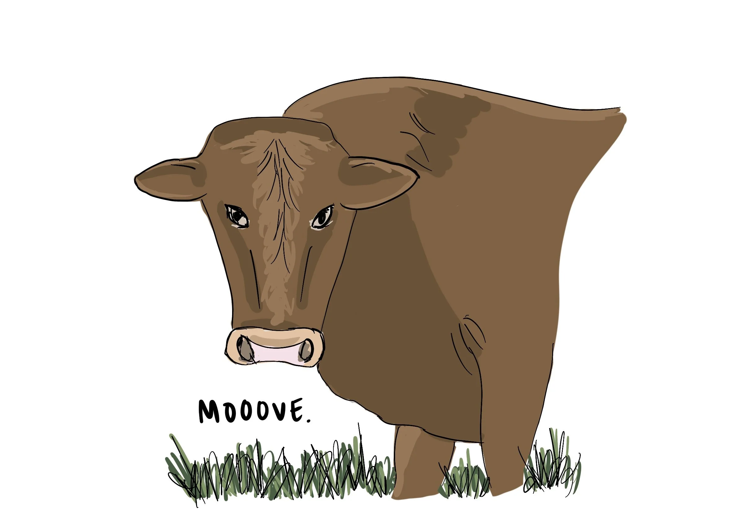 24_Cow_Move.jpg