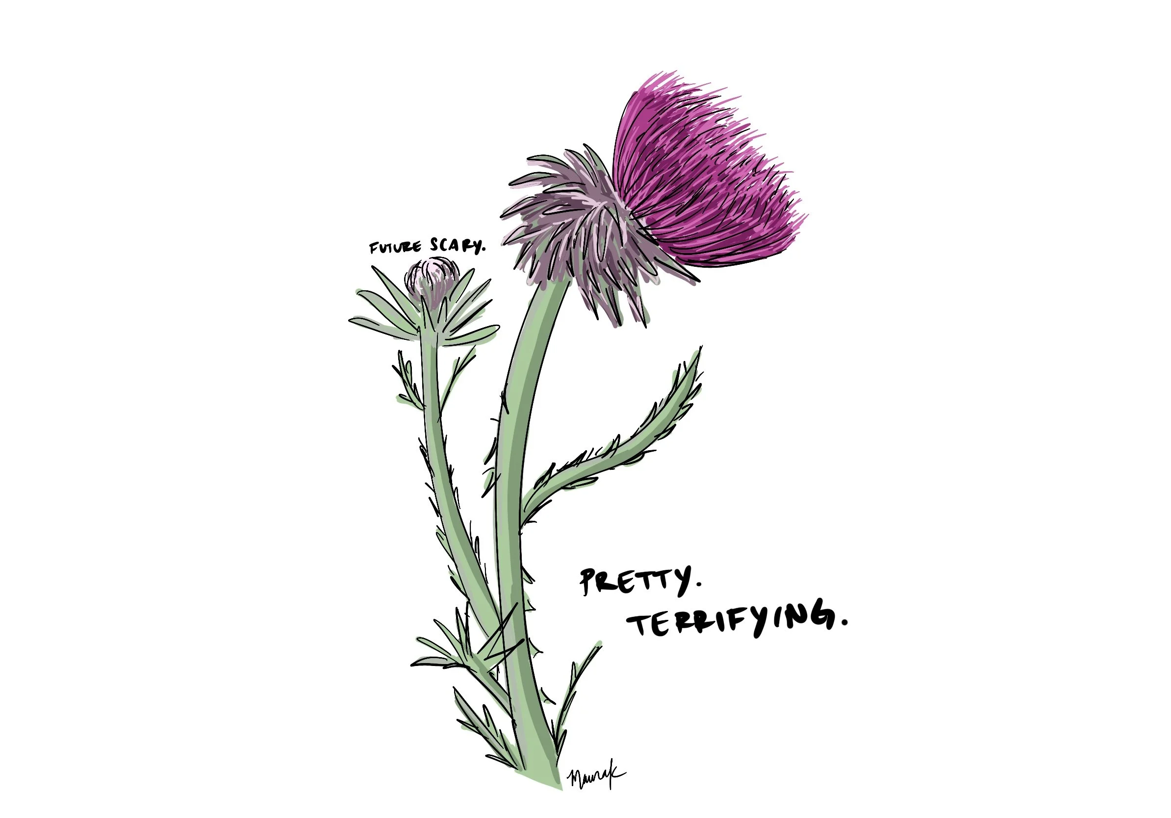 20_Thistle.jpg