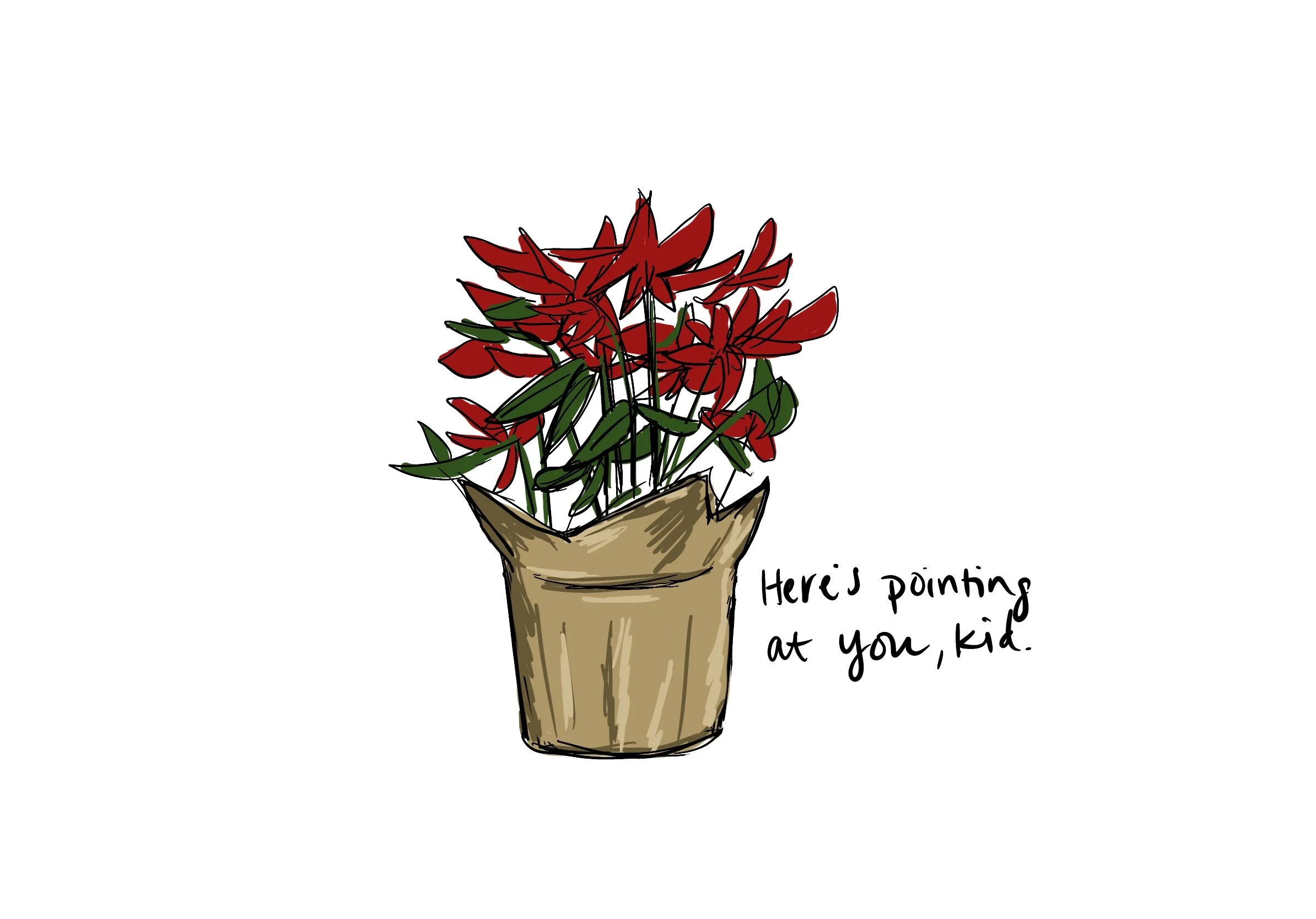 40_Poinsettia_.jpg