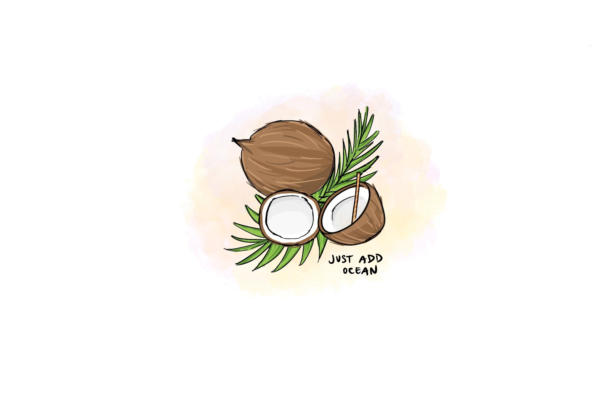 30_Coconut_Fiji.jpg