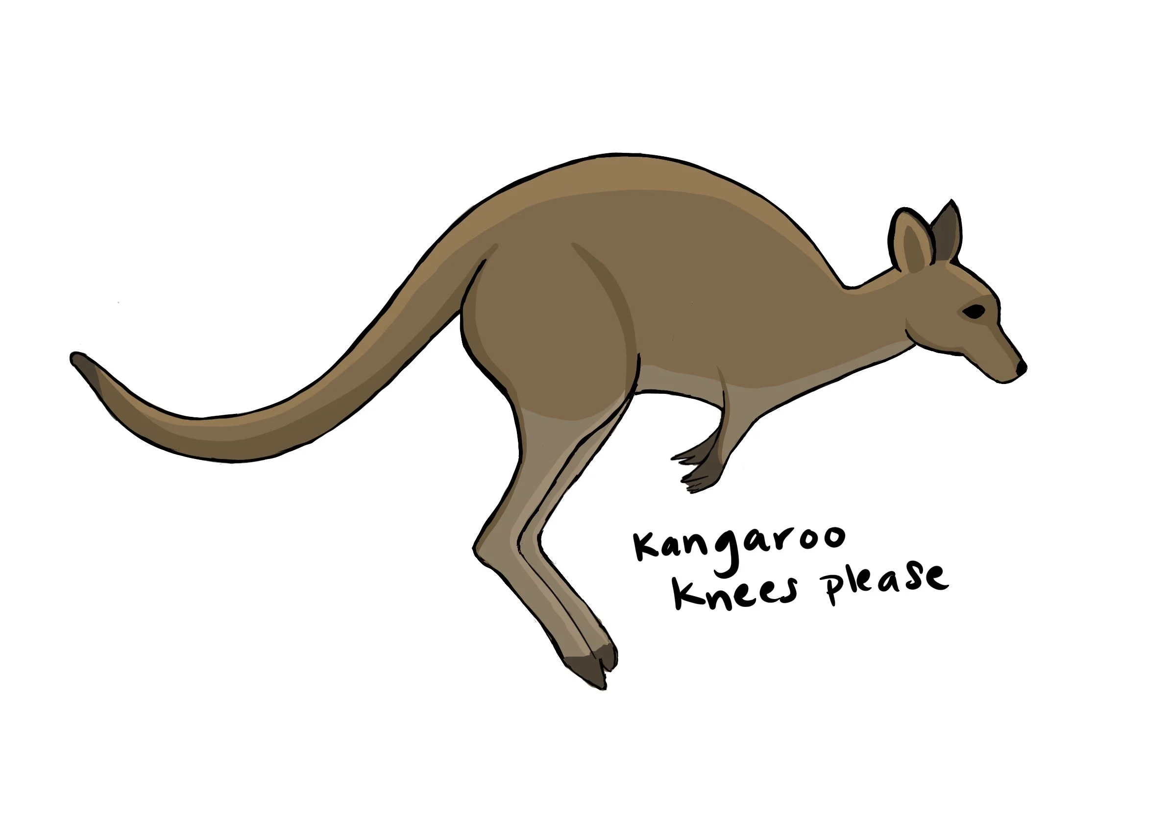 60_Kangaroo_Knees.jpg