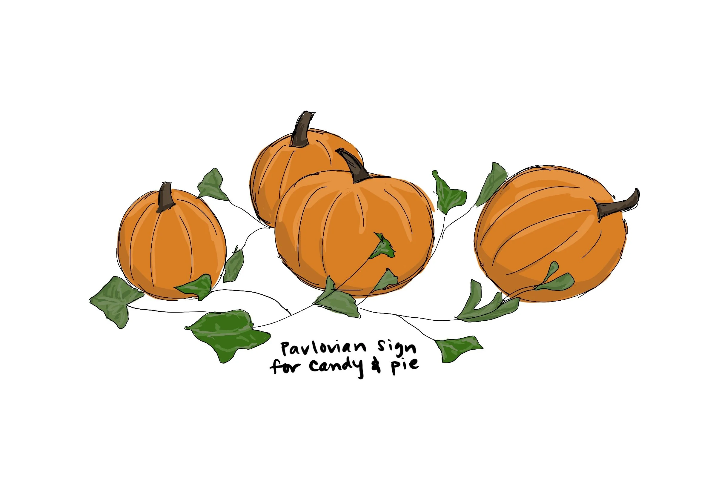 33_Pumpkin.jpg