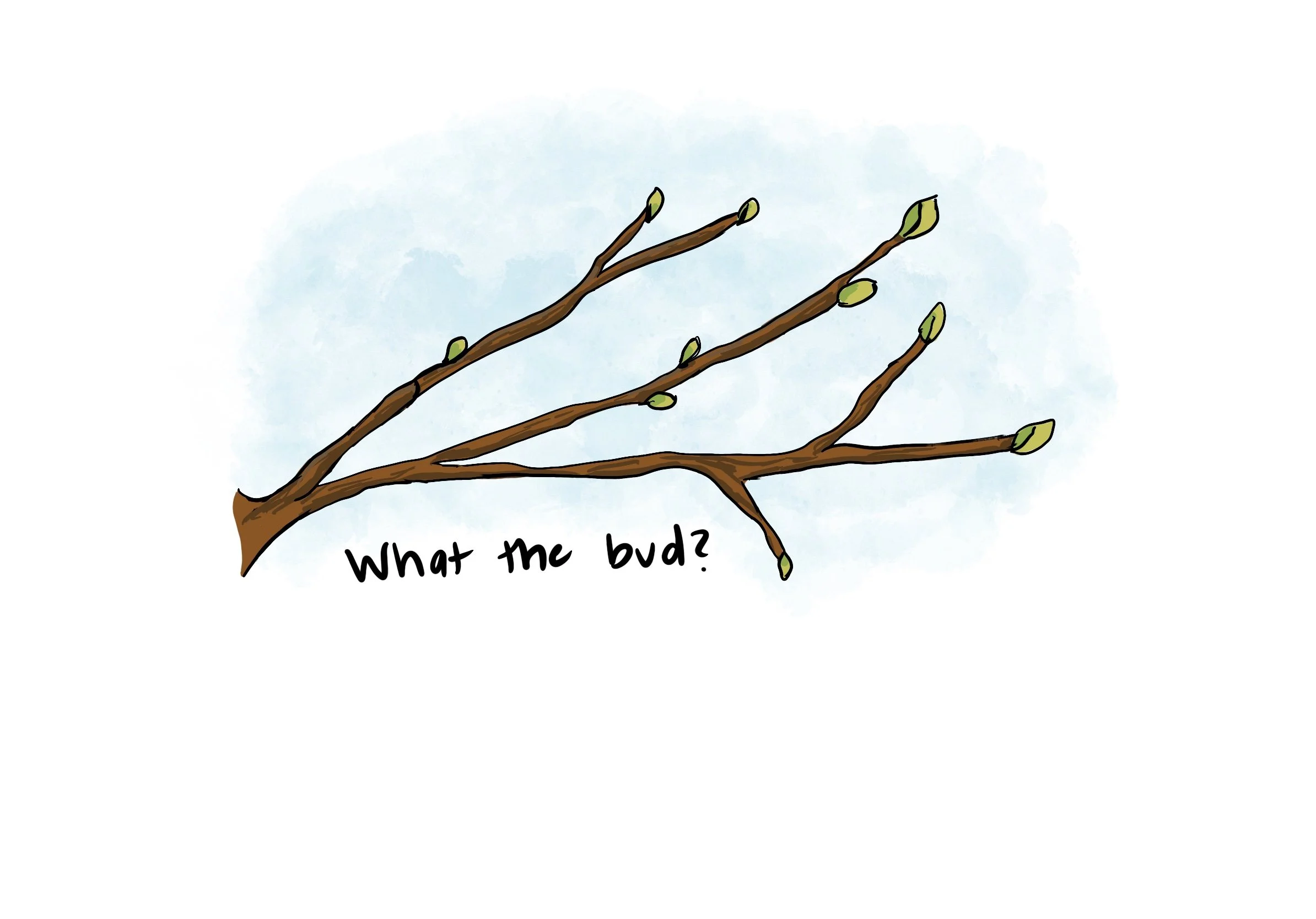 54_What_The_Bud.jpg