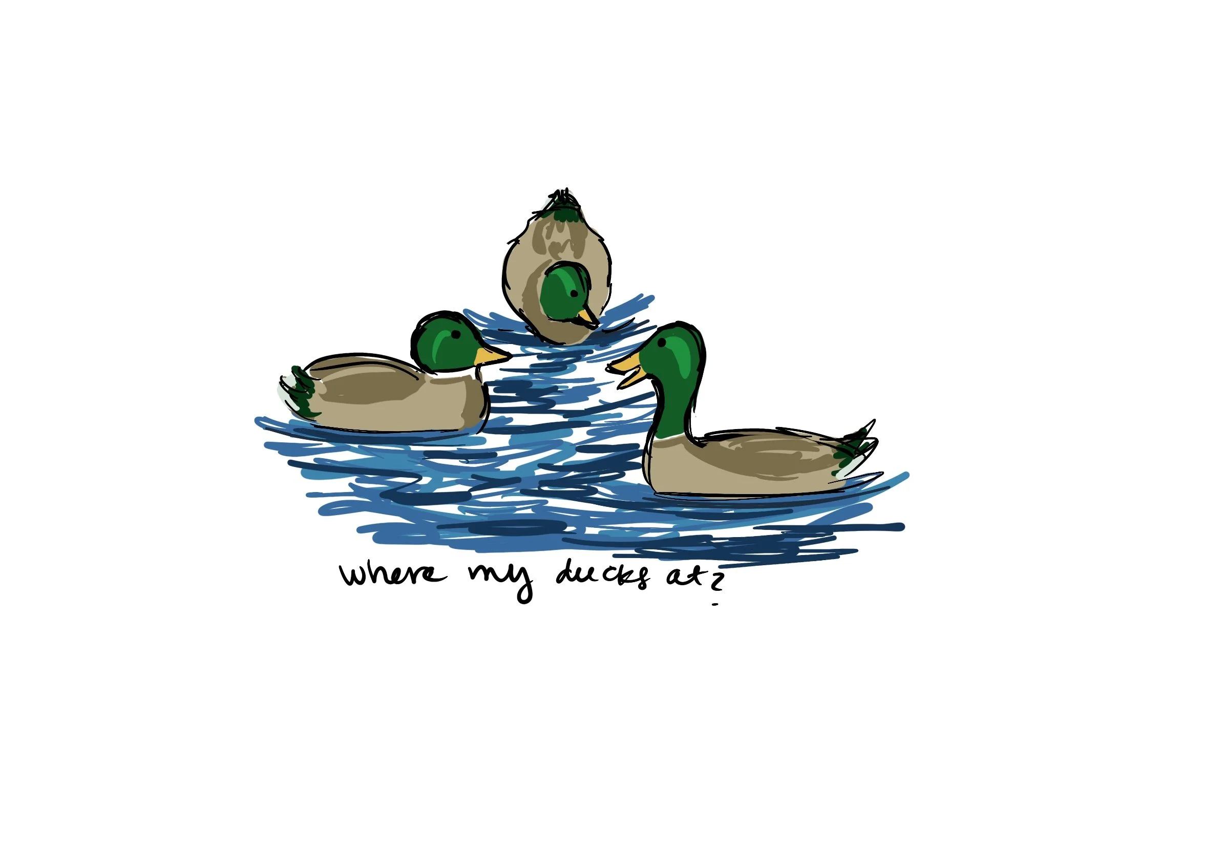 11_Where_My_Ducks_At.jpg