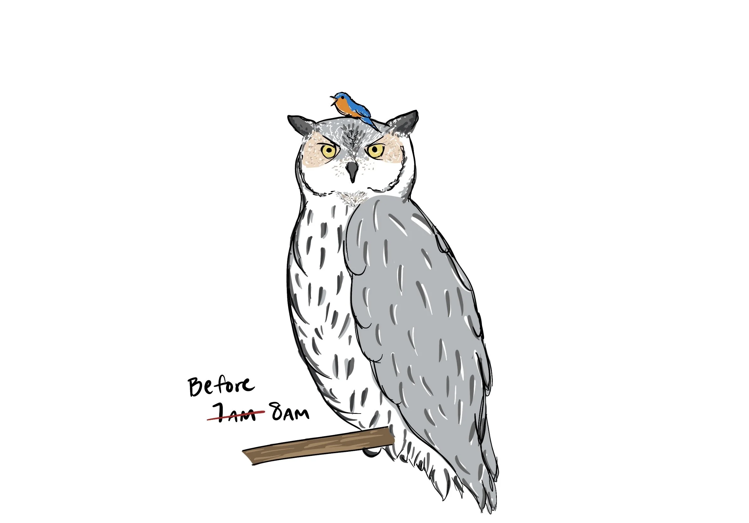 25_Night_Owl.jpg