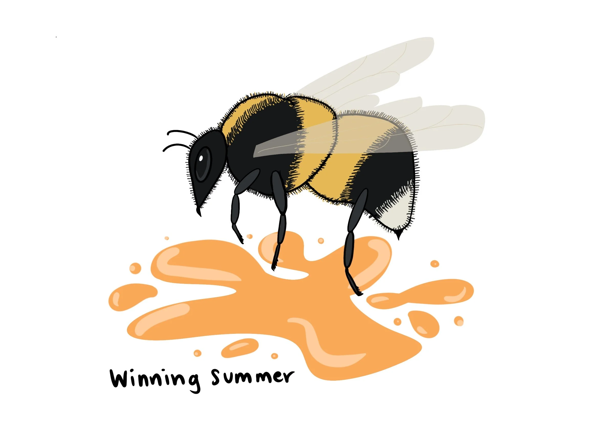 72_Summer_Bee.jpg