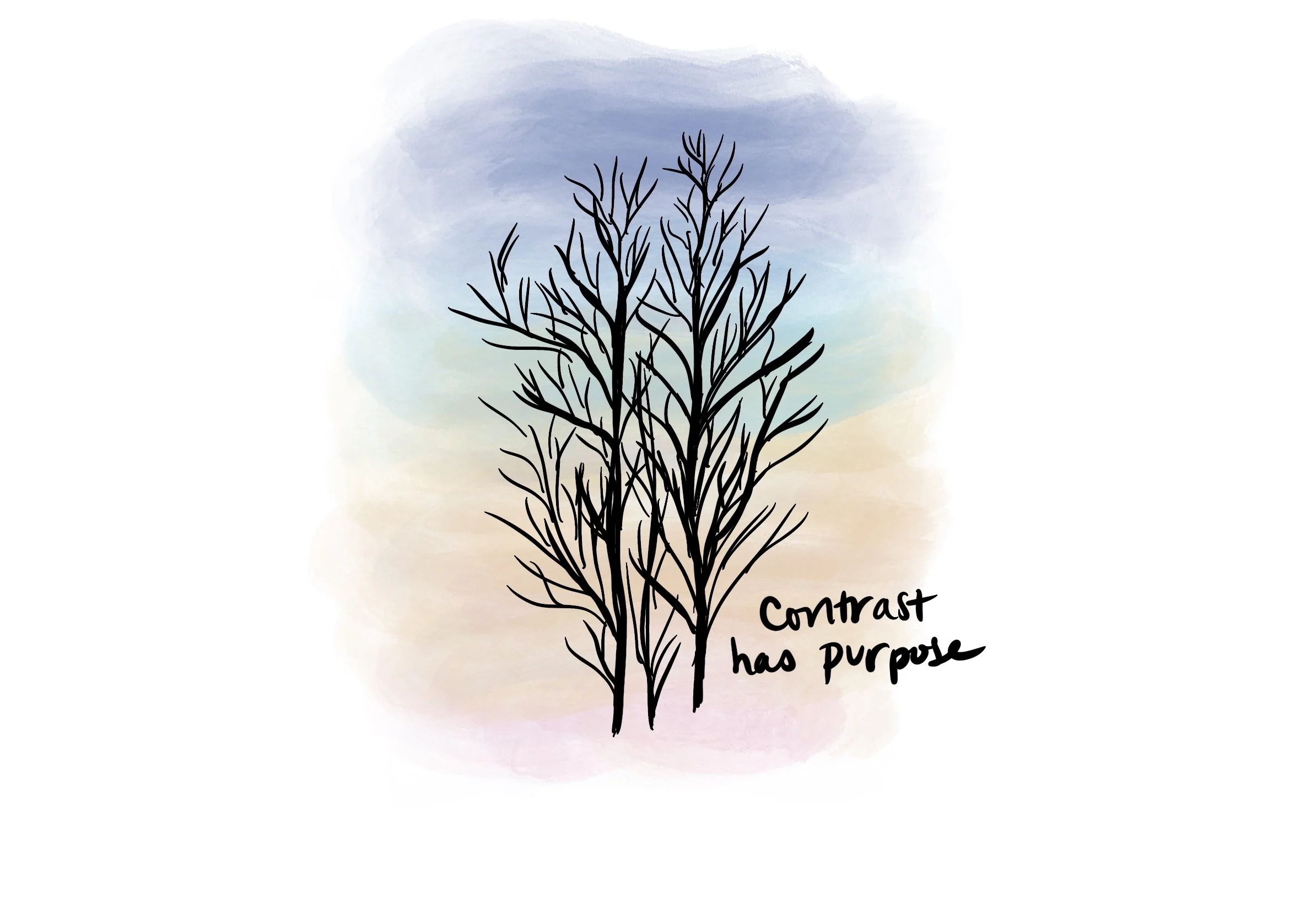 29_sunset_trees.jpg