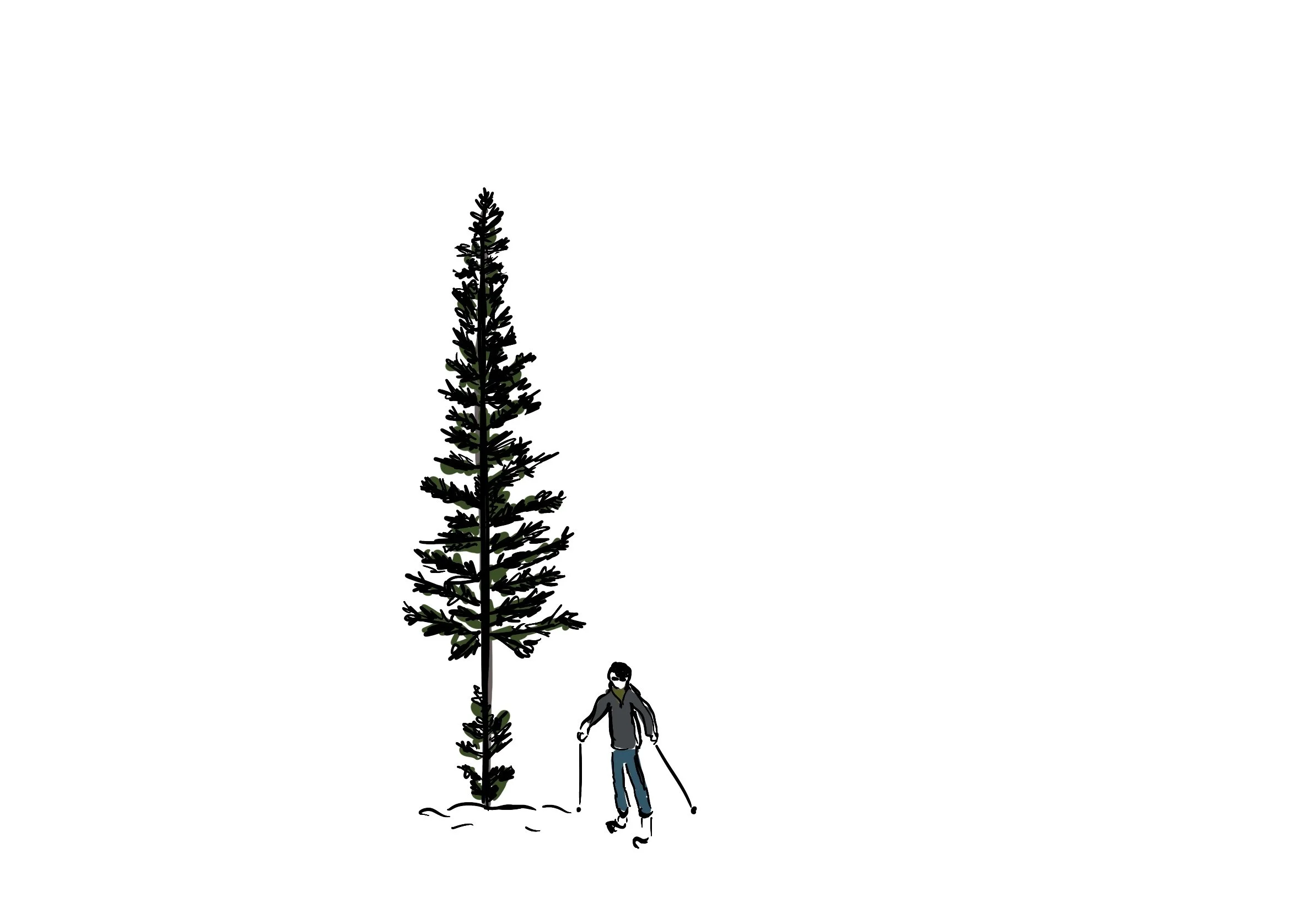 48_Jim_Ski.jpg