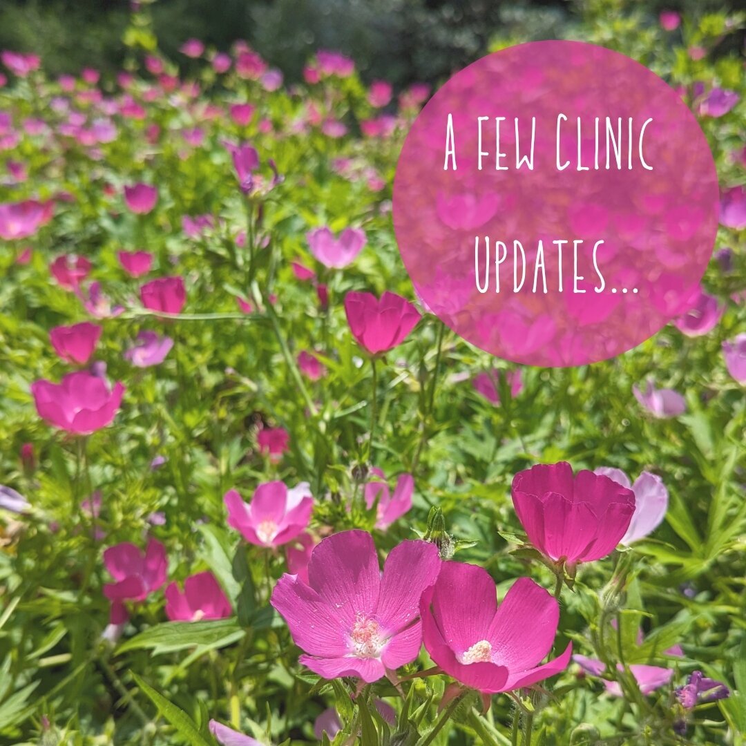 Hi everyone! A few clinic updates:⁠
- Books are now open through the end of September! Feel free to book out as far as you'd like. Things are starting to pick up again, so if you like the 3:30 or 4:45 appointment slot... don't wait too long to schedu