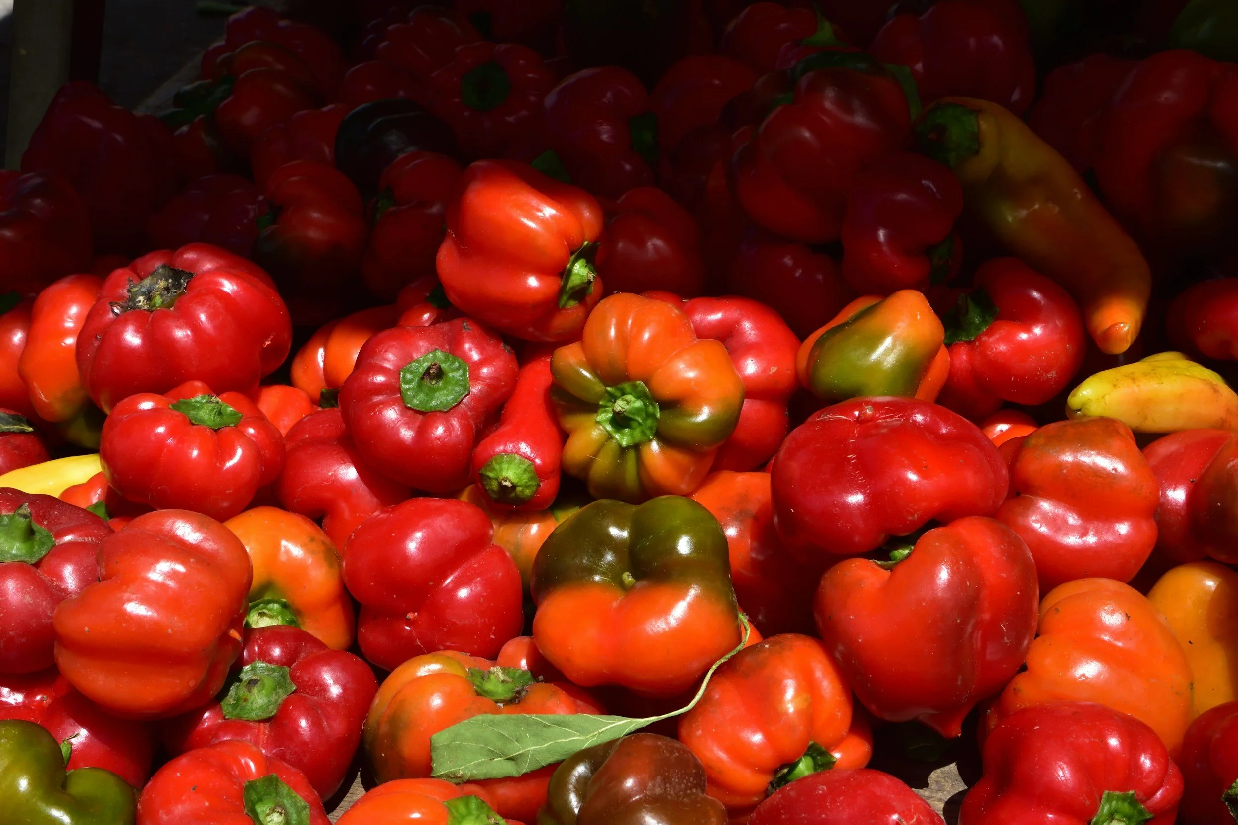 Summer Food Therapy