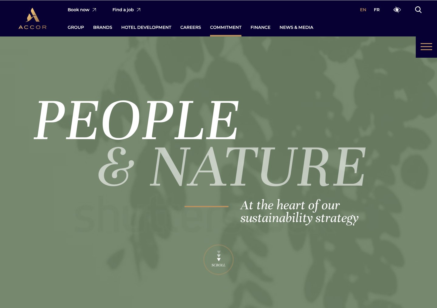 Design-screen-4.jpg