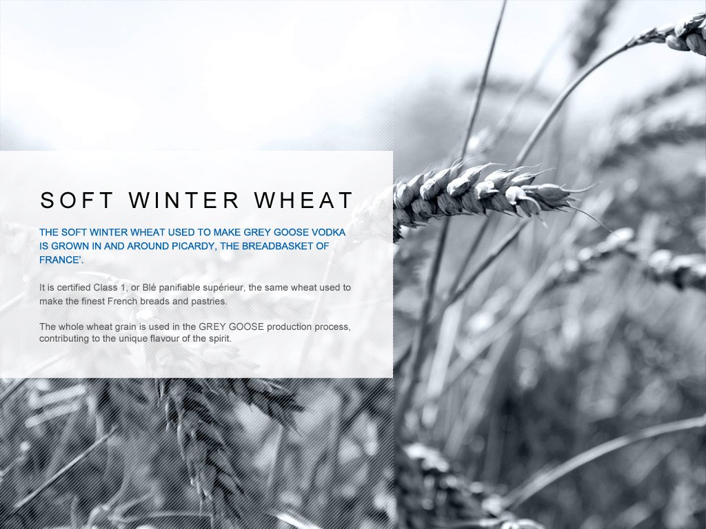 wheat.jpg
