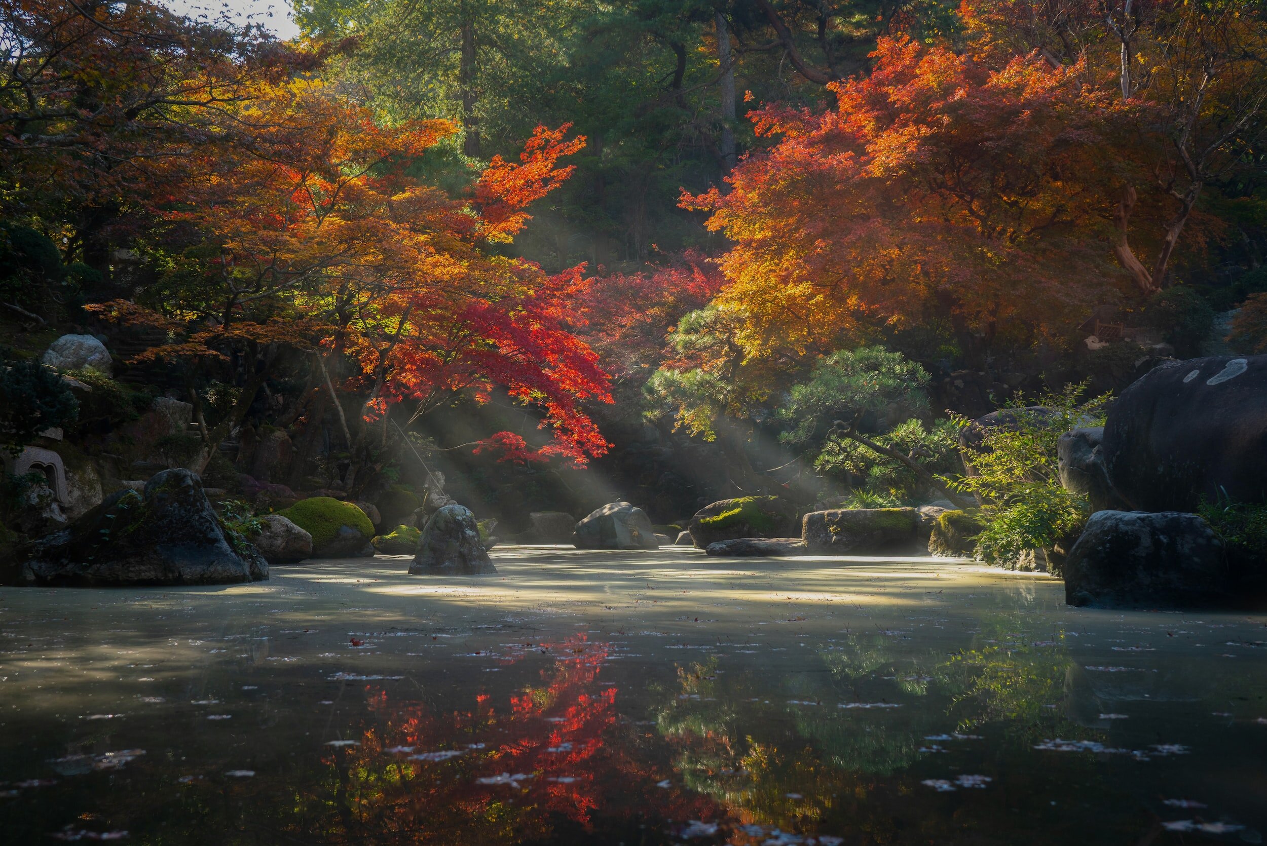 What was the Purpose of the Zen Gardens?