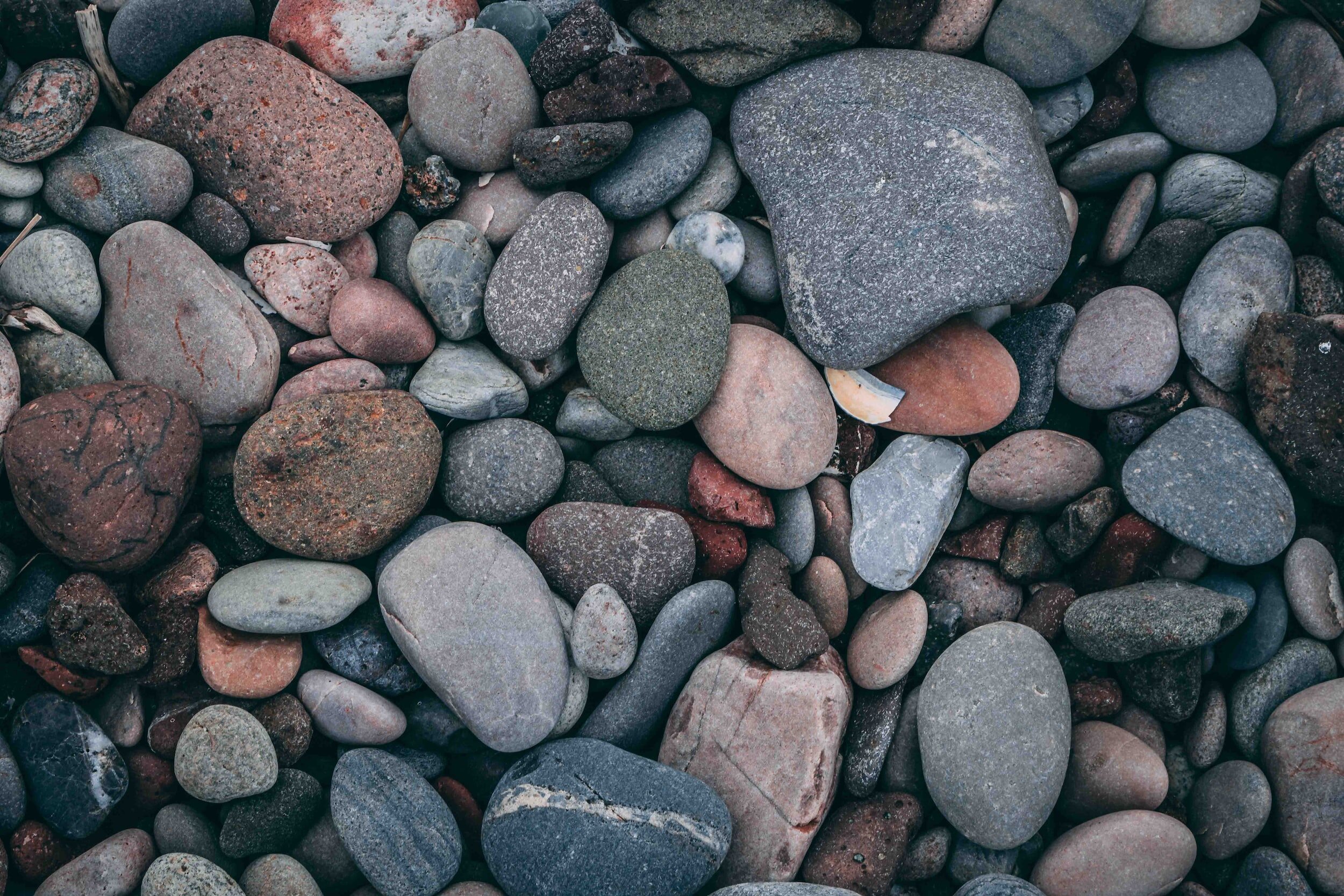 The Best Accent Rocks for Your Zen Garden