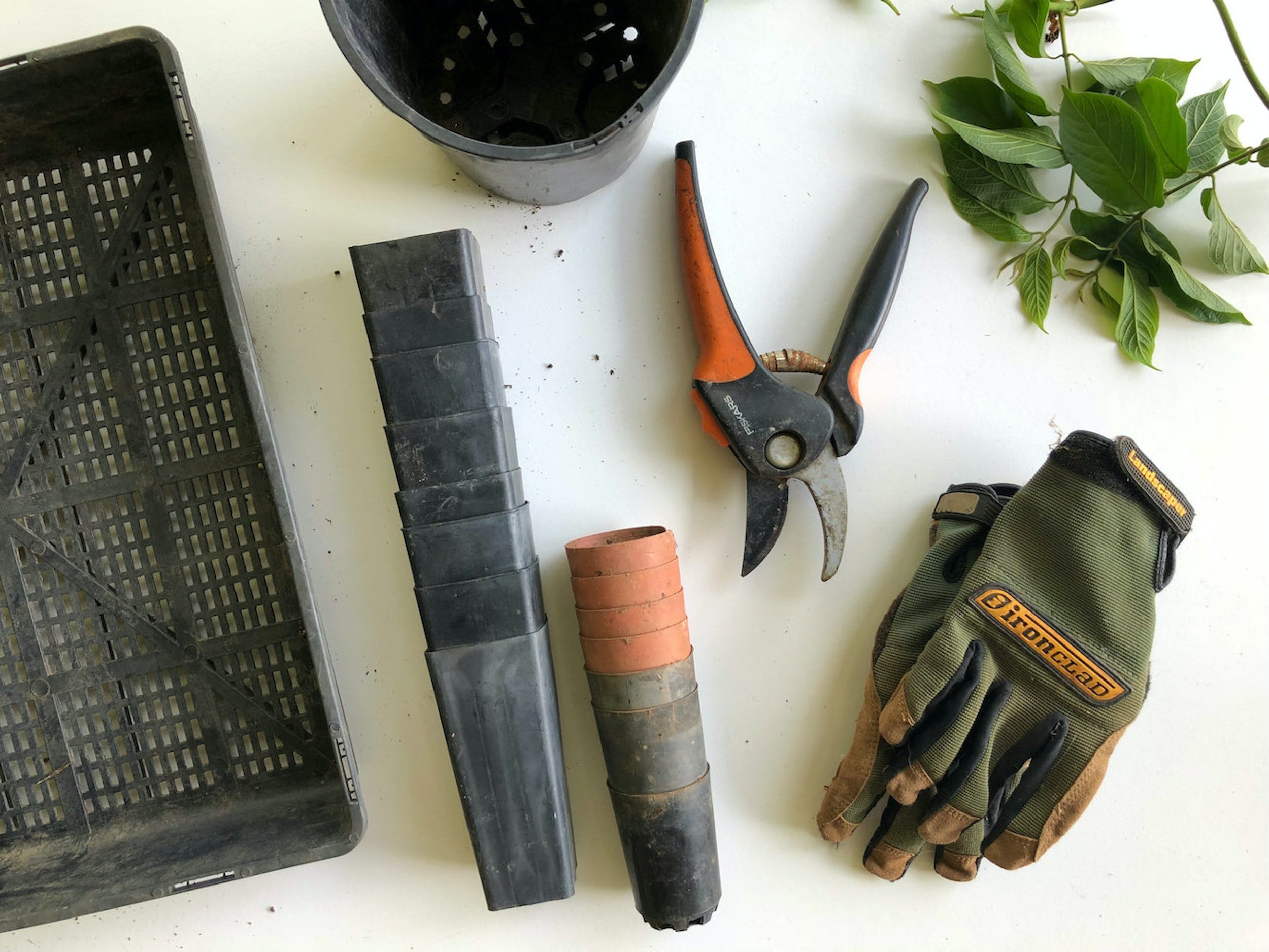 Can Gardening Help Reduce Stress?