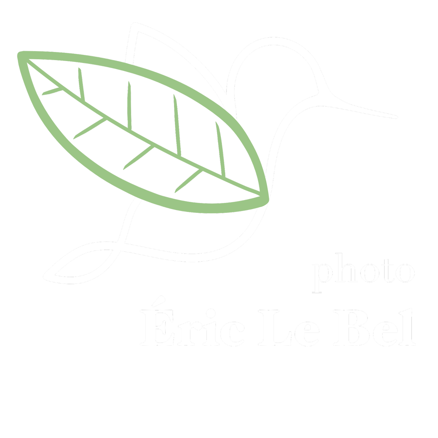 Eric Le Bel